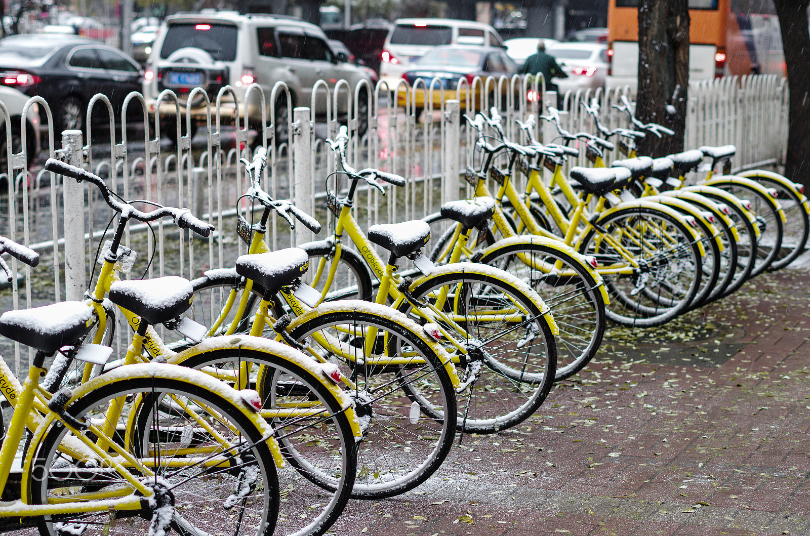 Pentax K-30 sample photo. First snow - bicycles photography