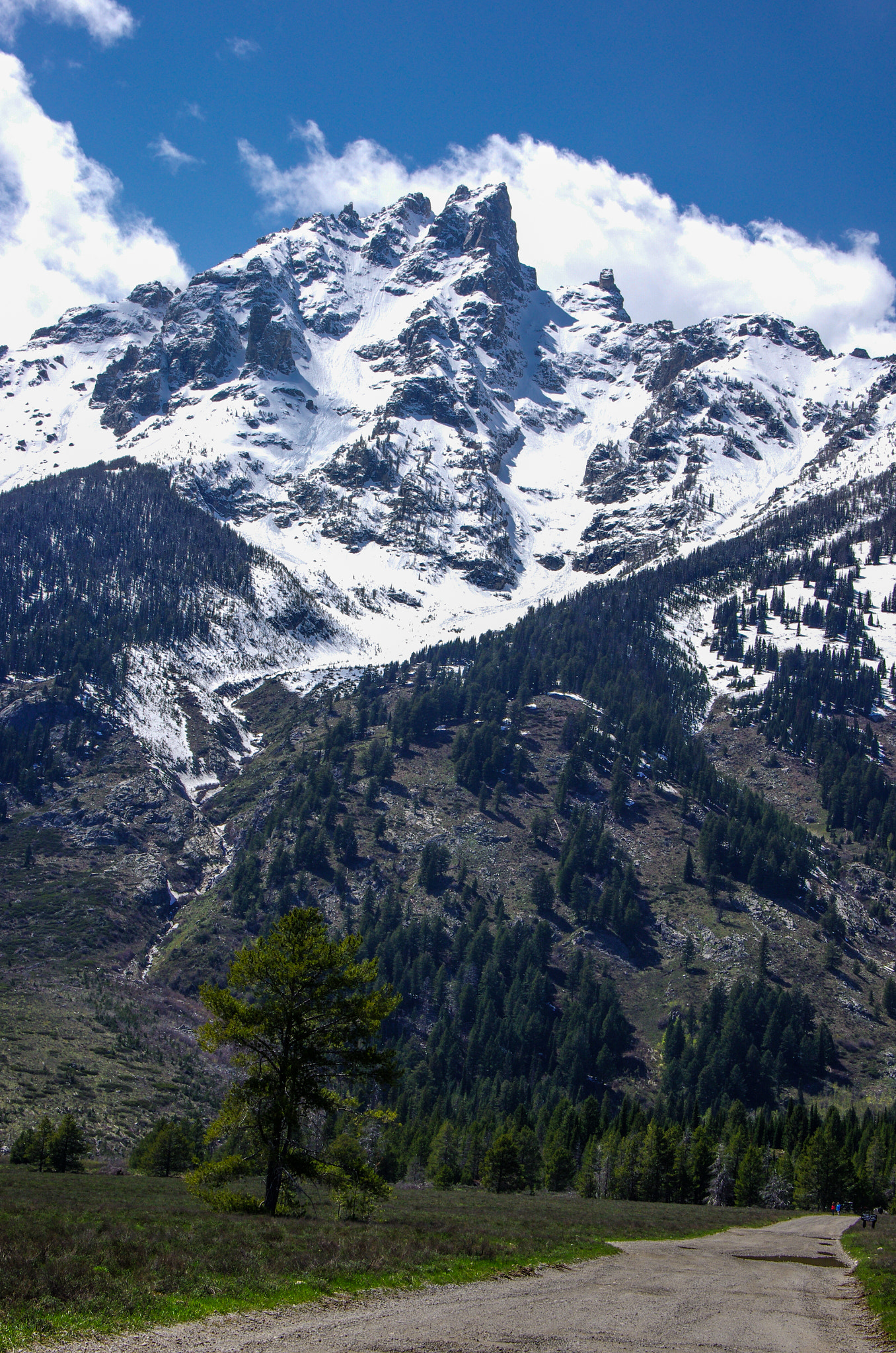 Pentax K-5 II sample photo. Teton vertical photography