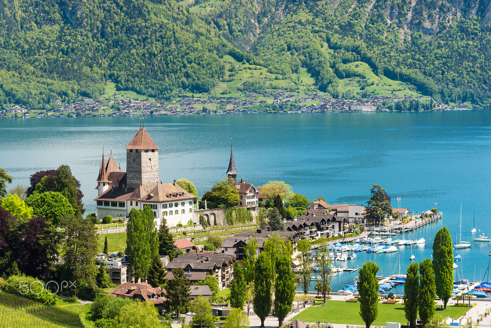Nikon D800 sample photo. Spiez castle with yacht ship on lake thun in bern, switzerland. beuatiful landscape in switzerland photography