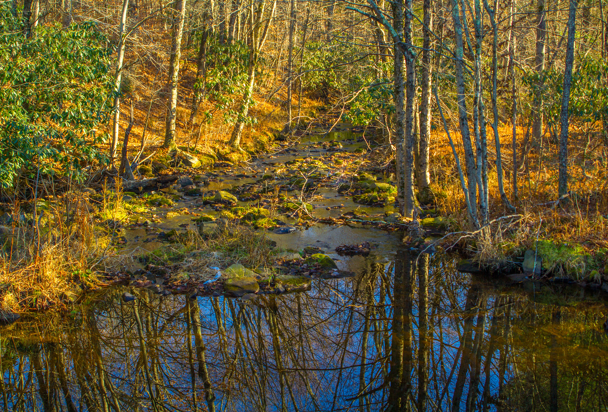 Canon EF 28-80mm f/3.5-5.6 USM sample photo. November brook photography