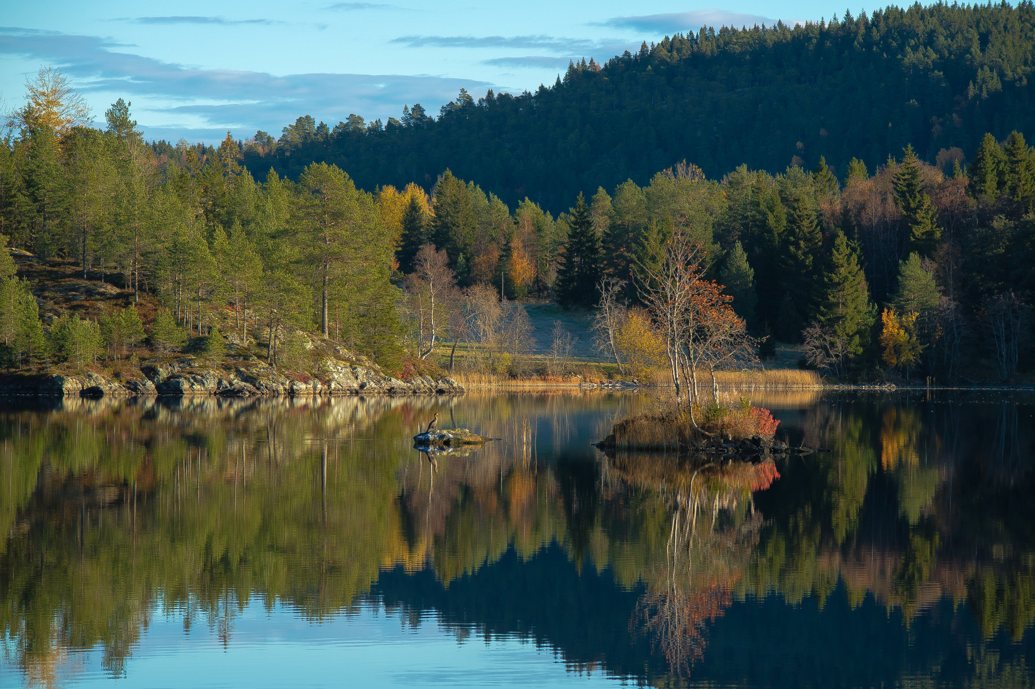 Canon EOS M3 sample photo. Autumn reflections photography