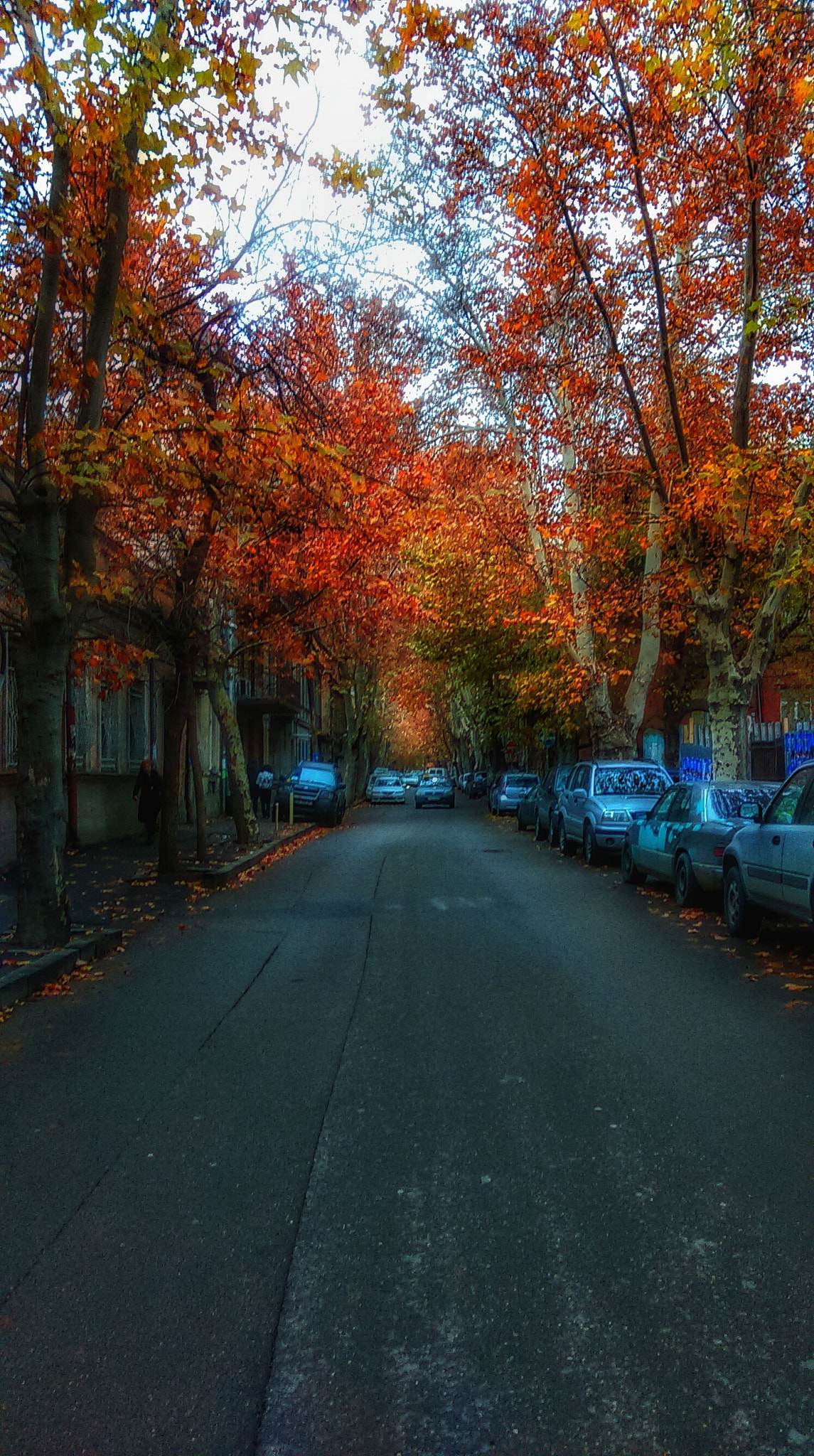 HTC DESIRE 610 sample photo. Autumn in tbilisi  photography