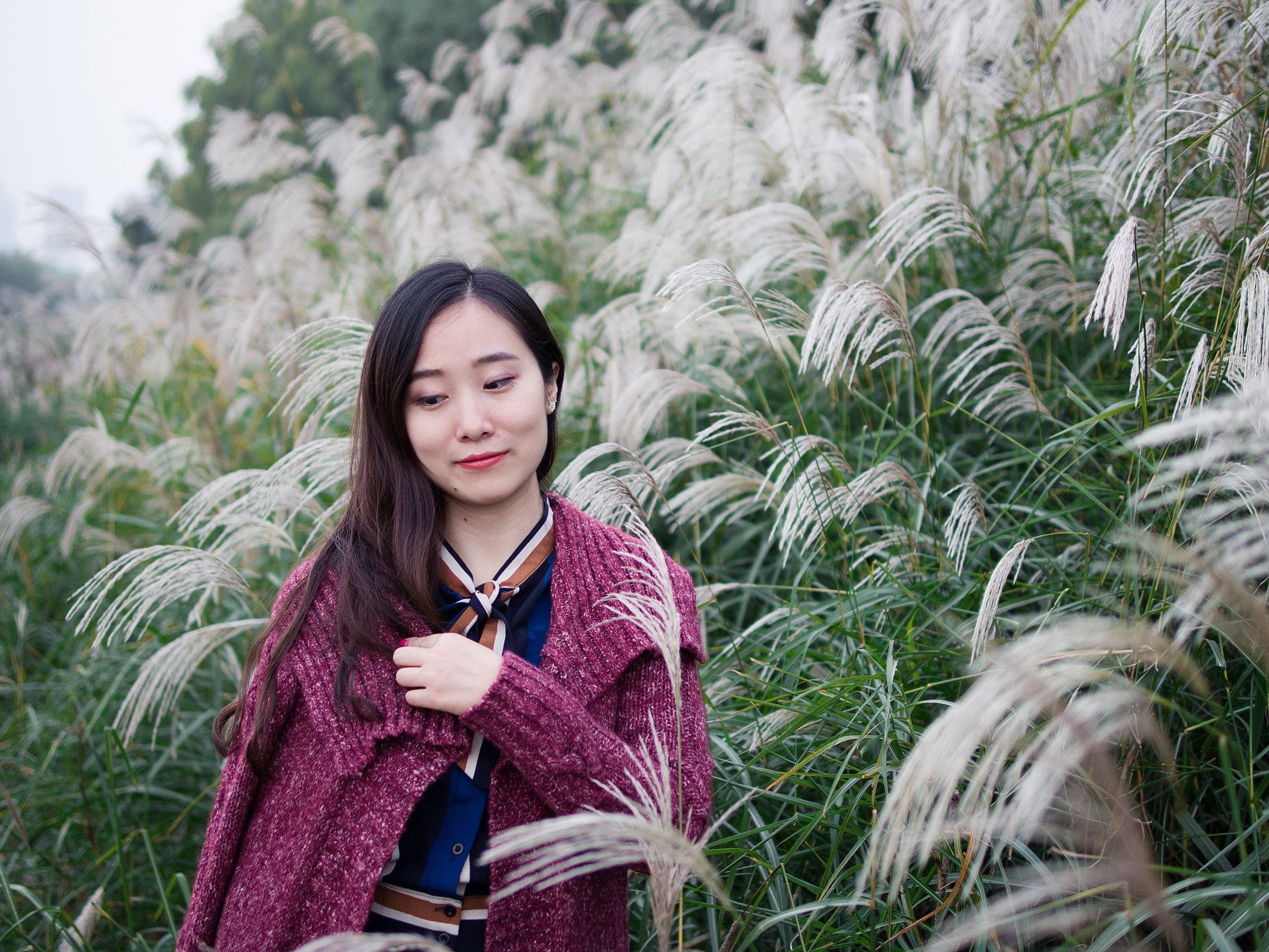 Olympus PEN E-PL7 + Panasonic Leica DG Summilux 25mm F1.4 II ASPH sample photo. Olympus digital camera photography