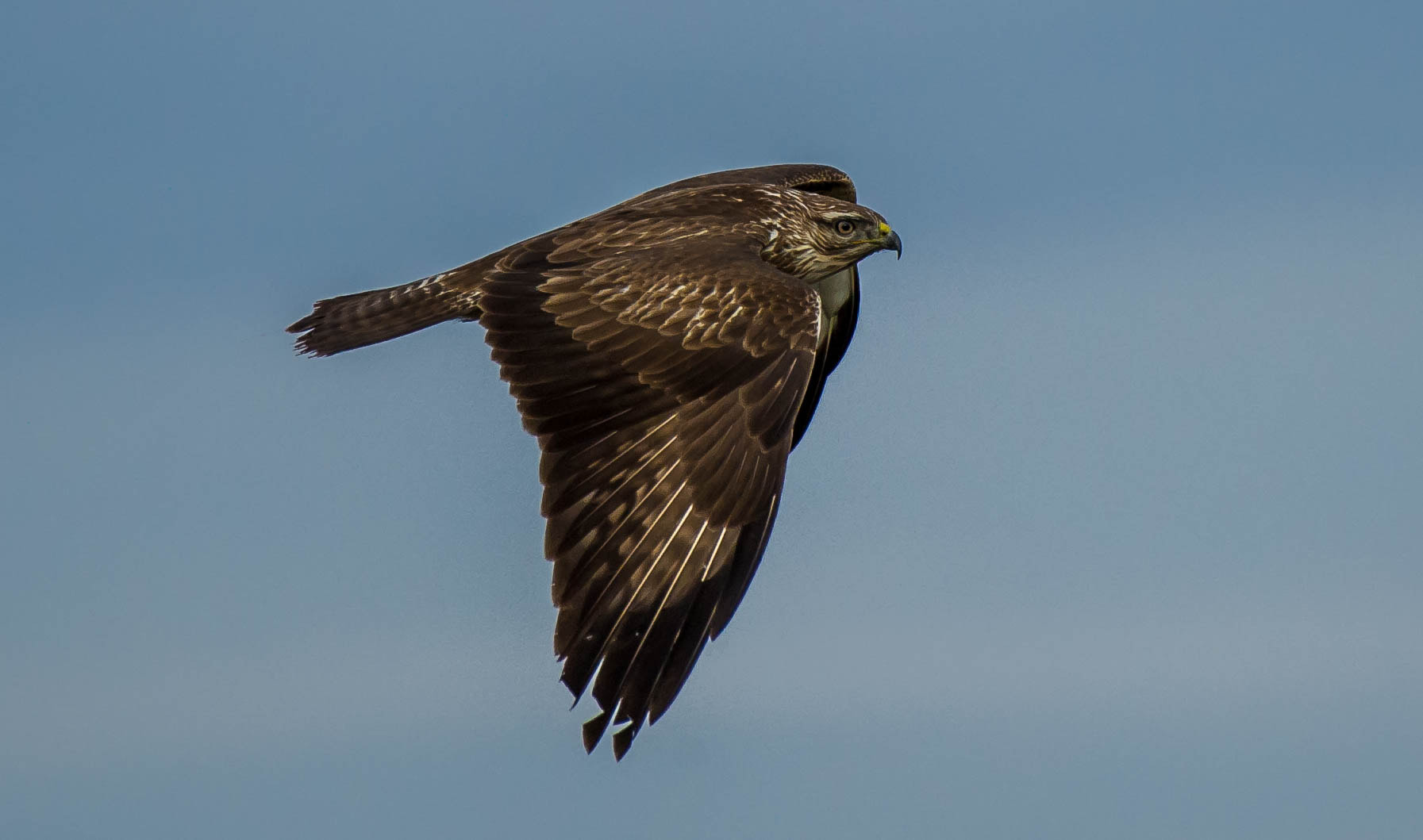Nikon AF-S Nikkor 200-500mm F5.6E ED VR sample photo. 30138612244.jpg photography