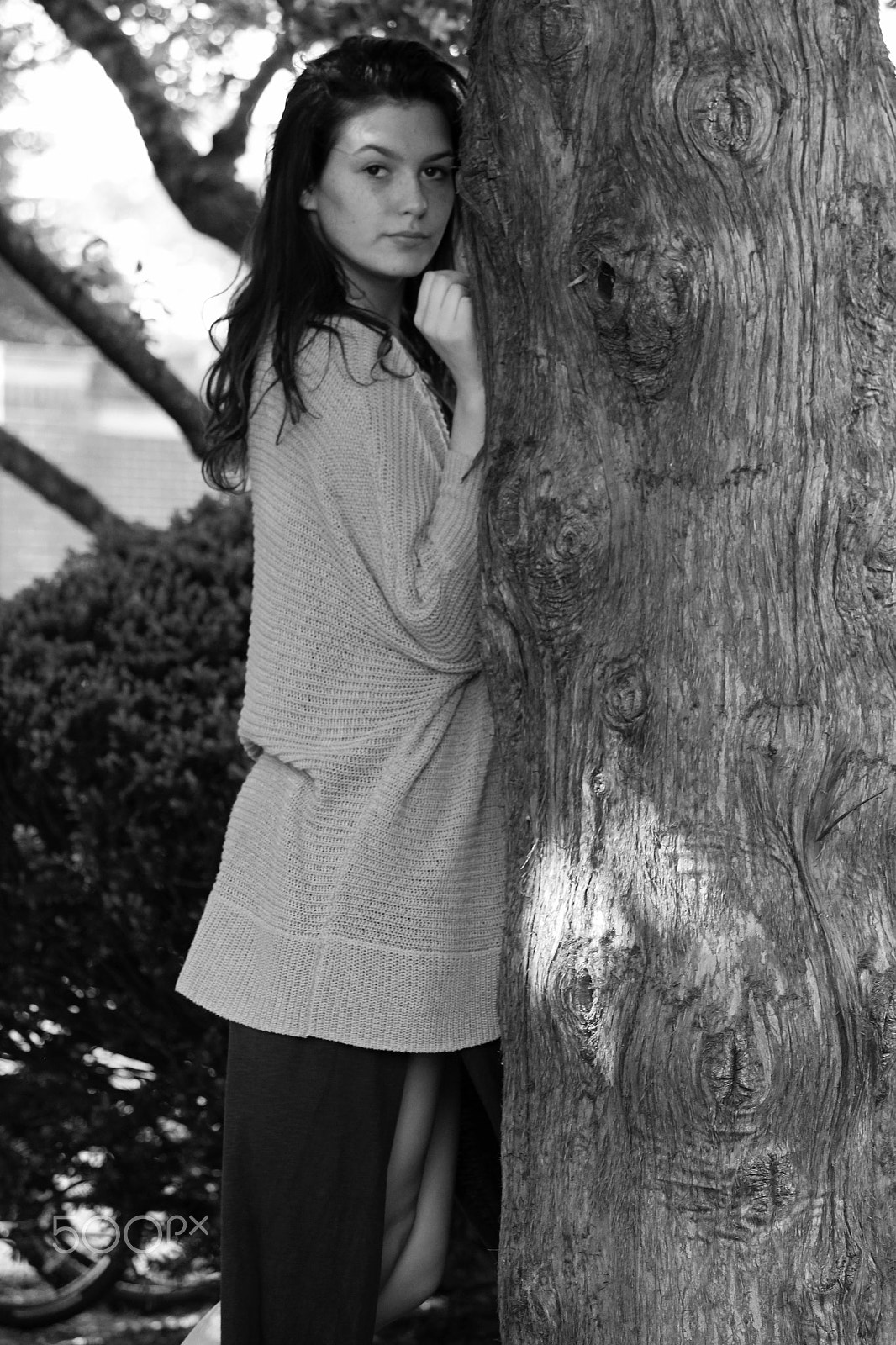 Canon EOS 650D (EOS Rebel T4i / EOS Kiss X6i) sample photo. Evonna photography