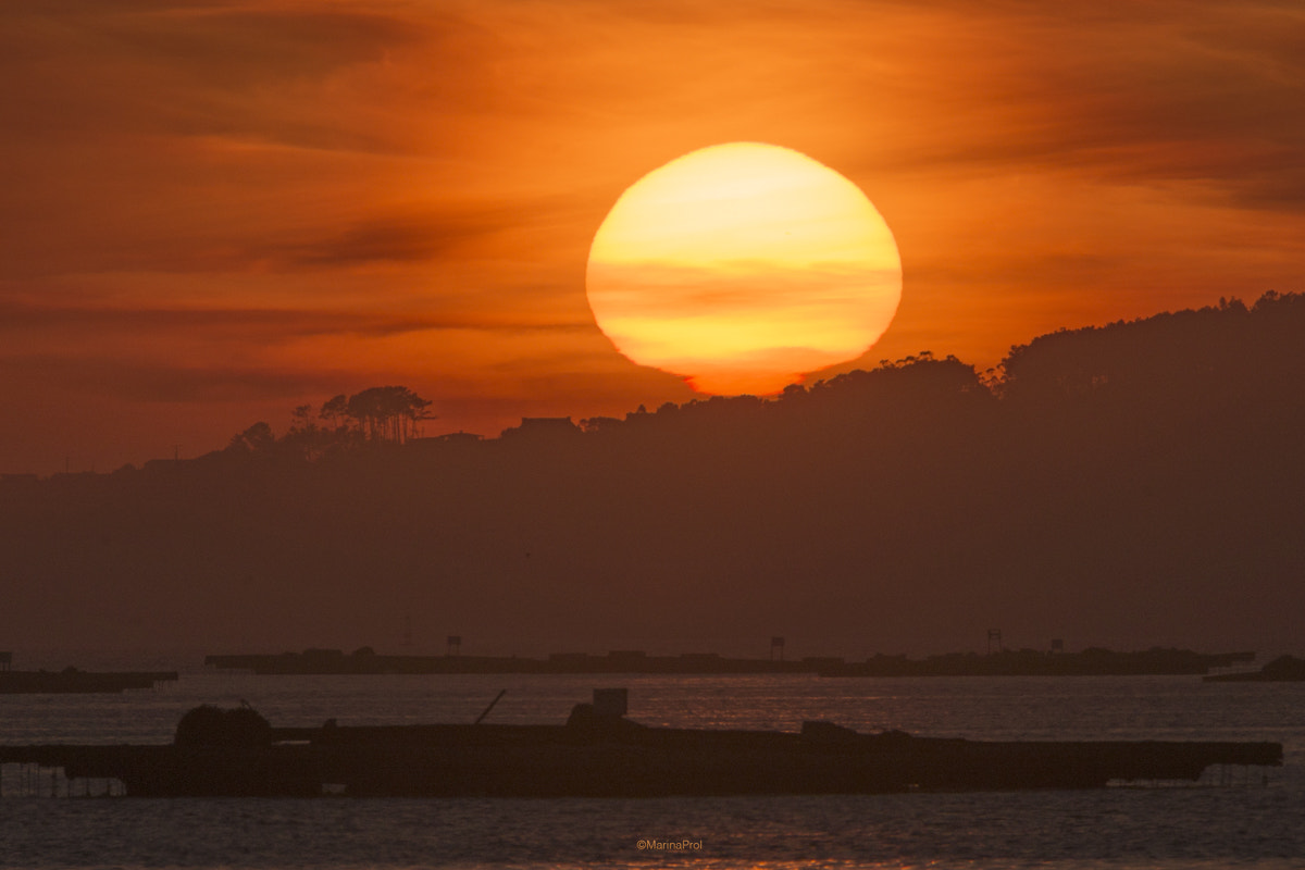 Sigma 150-600mm F5-6.3 DG OS HSM | S sample photo. Atmospheric refraction, once again... photography