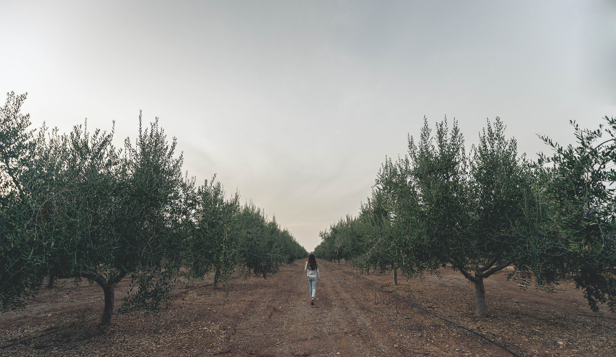 Nikon D4S sample photo. Path to nowhere photography