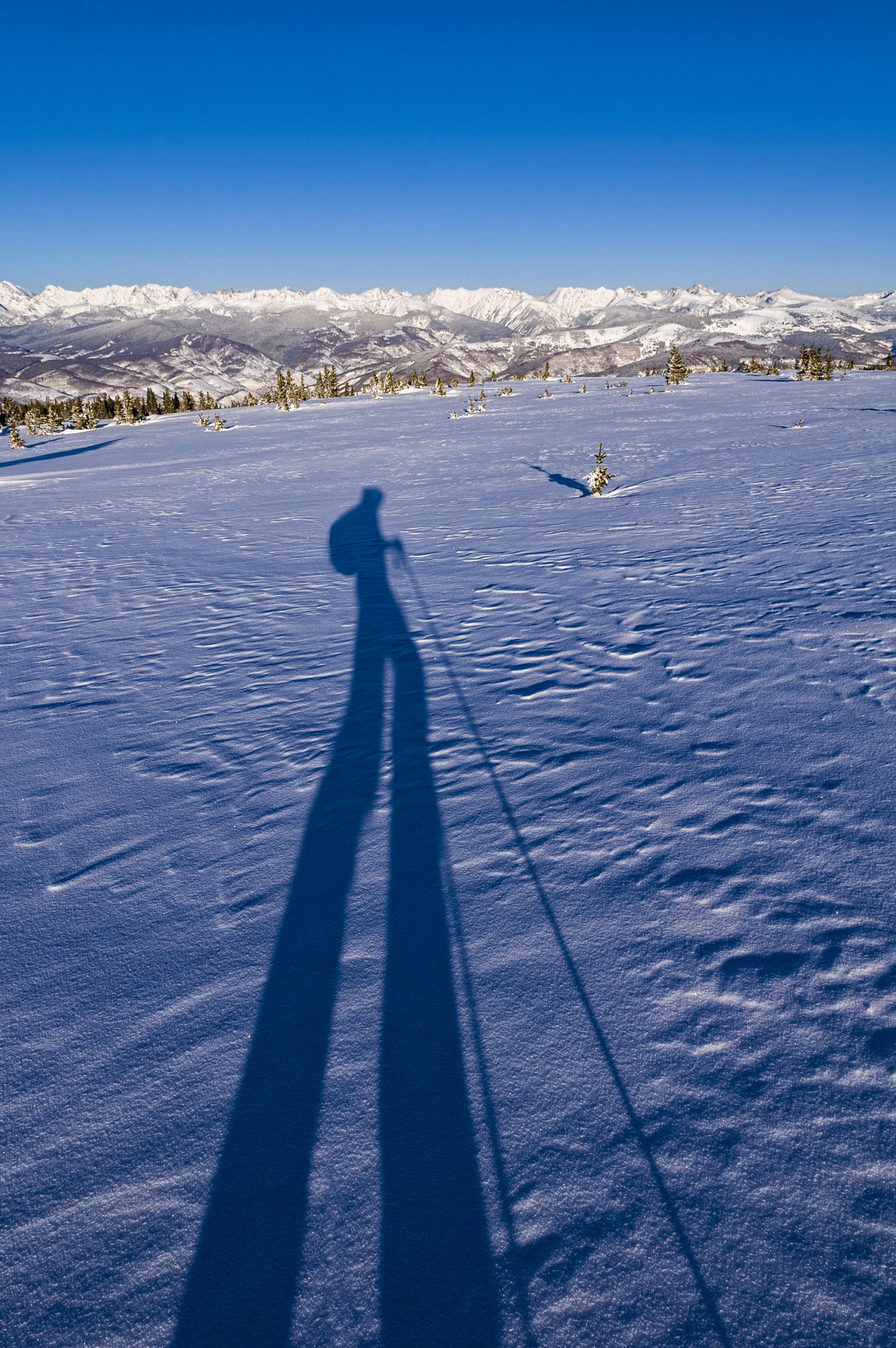 Nikon D300 sample photo. Ski touring shadow high in mountains winter photography