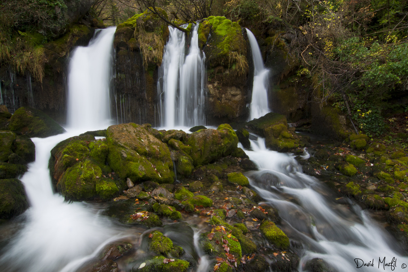 Tokina AT-X Pro 12-24mm F4 (IF) DX sample photo. L'adou photography