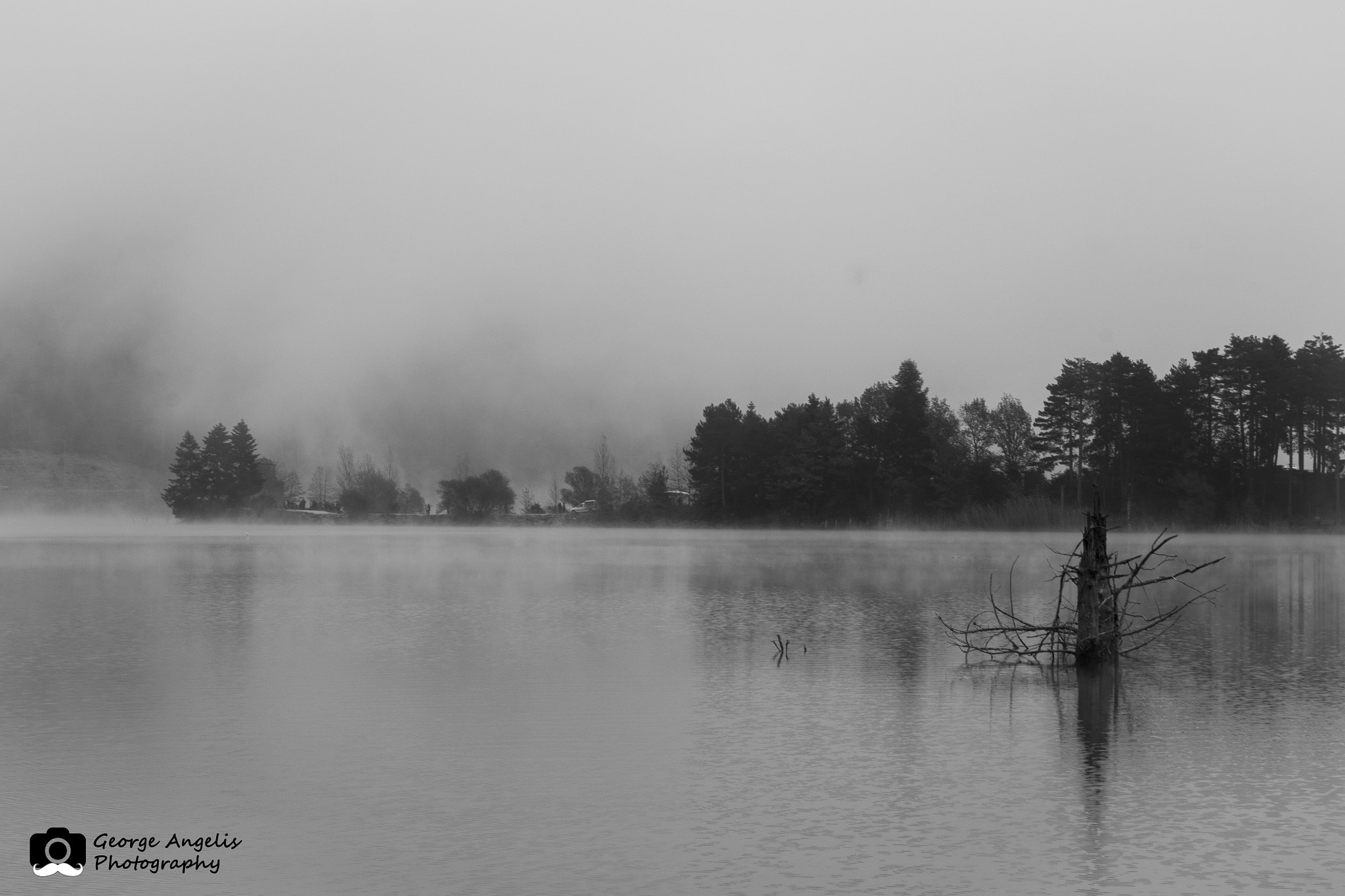 Nikon D3100 sample photo. Misty lake photography