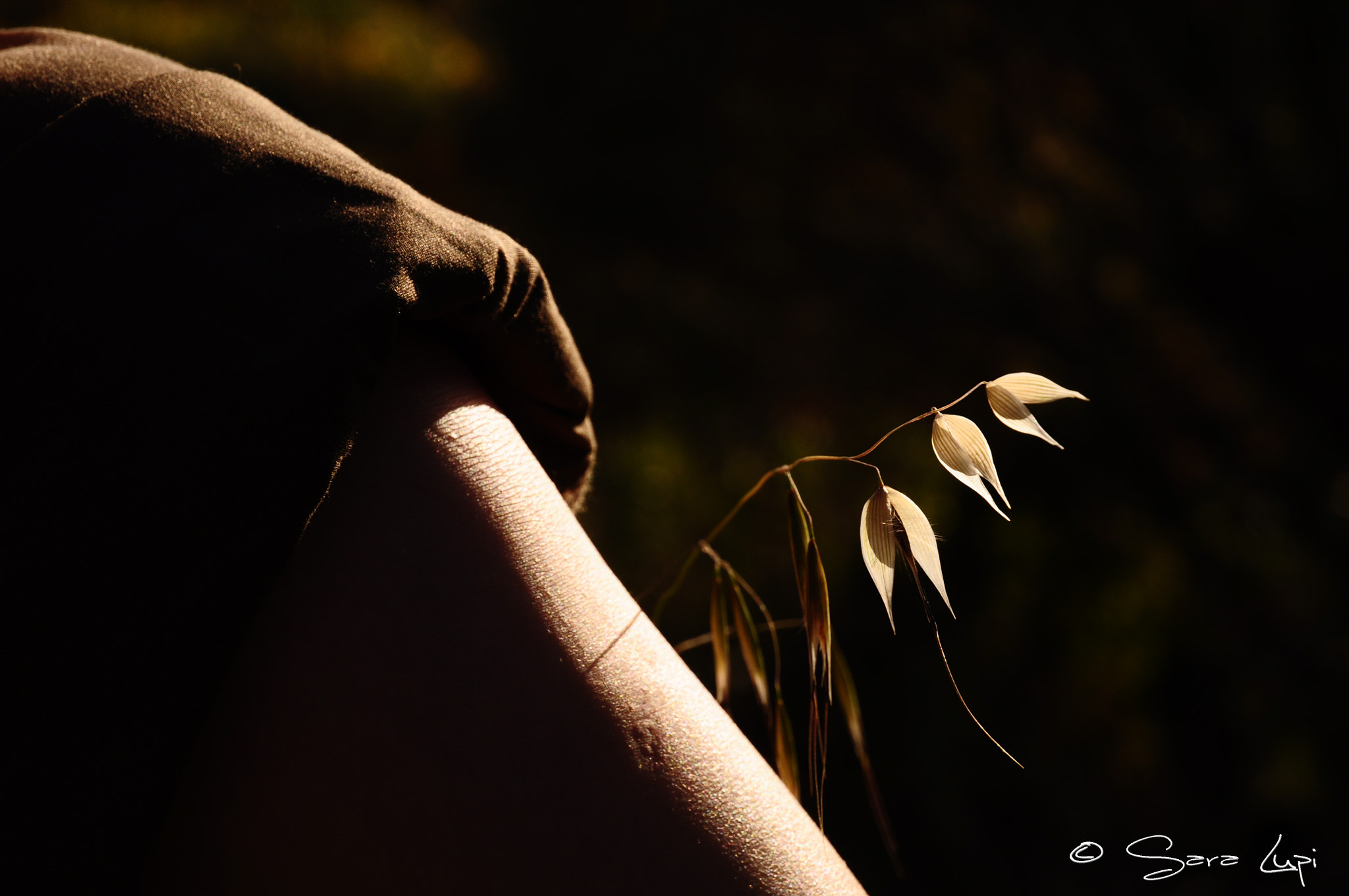 Nikon D5000 sample photo. Trail of light photography