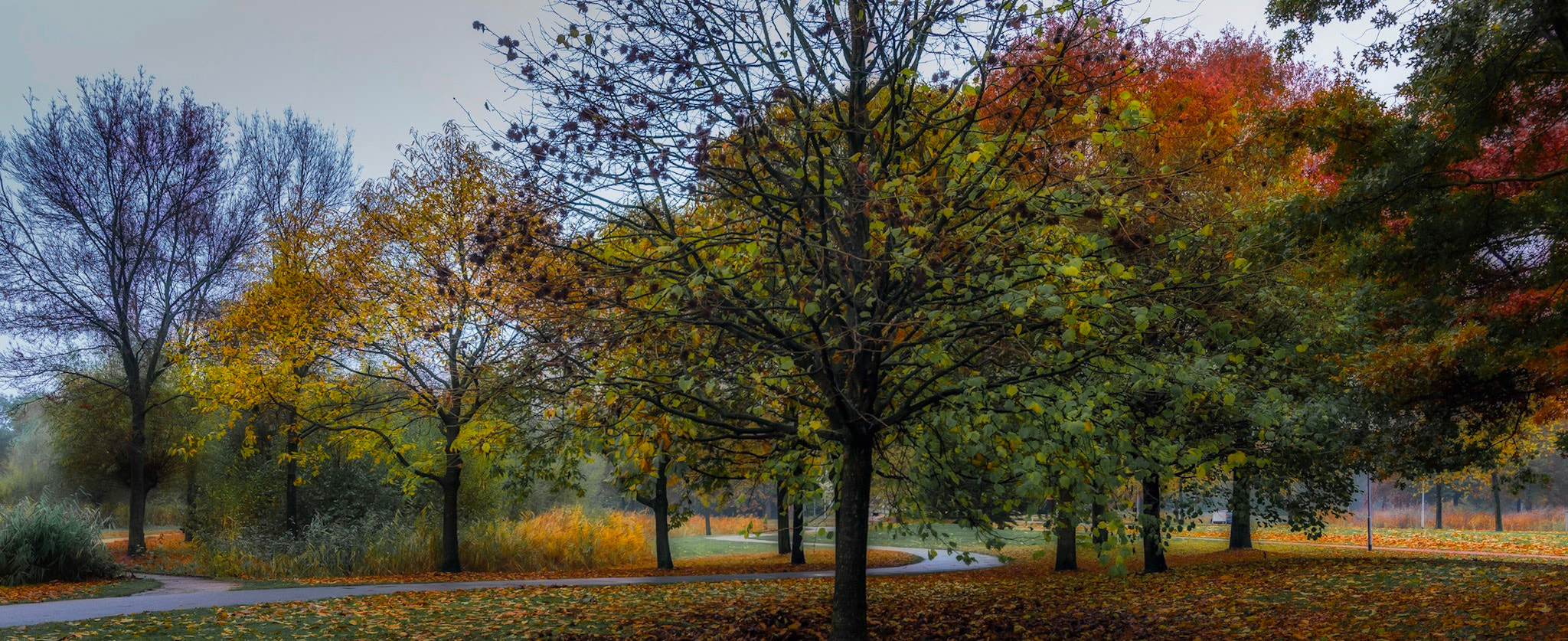 Tokina AT-X 11-20mm F2.8 PRO DX sample photo. Stages of autumn photography