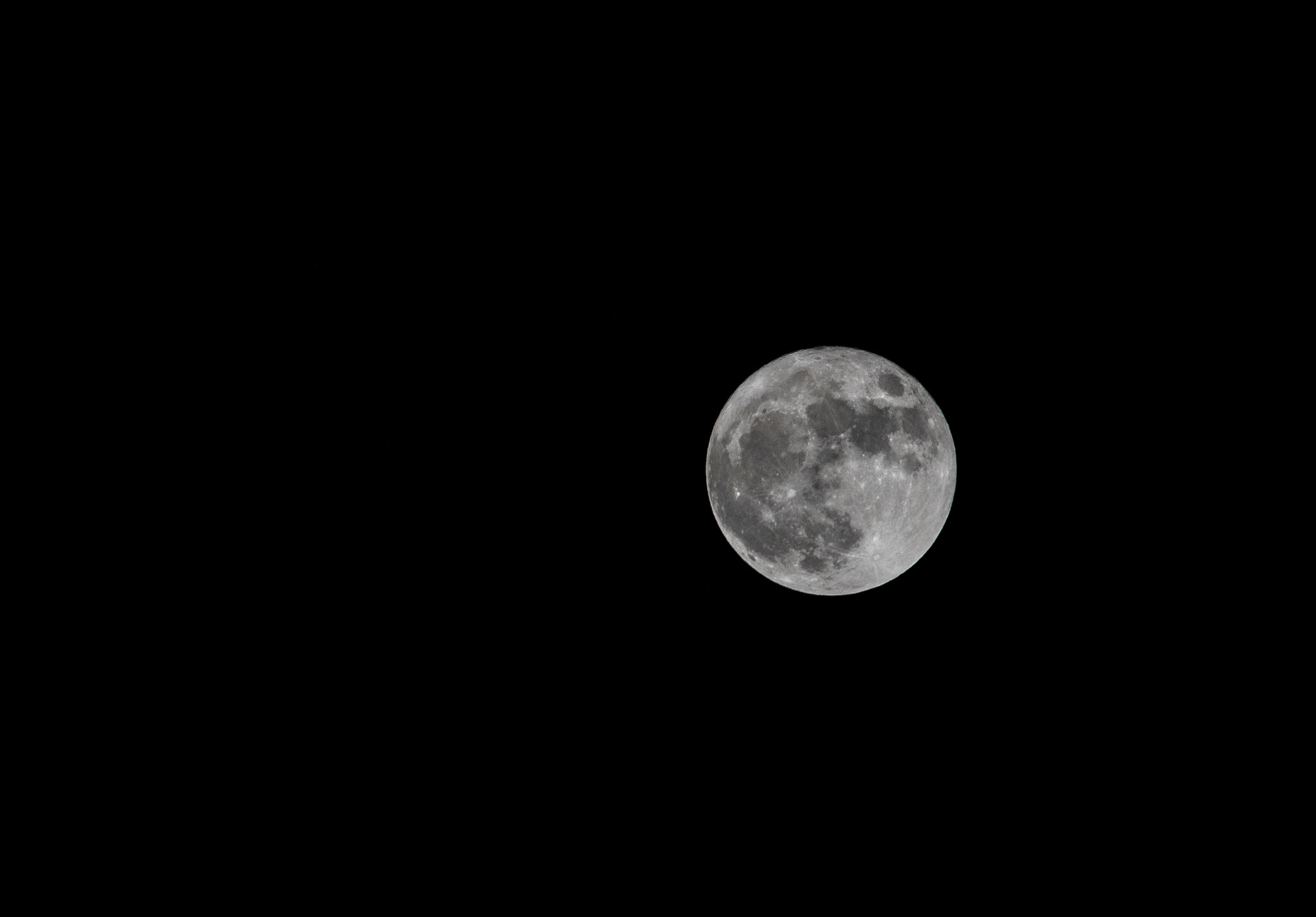 Canon EF 70-200mm F4L USM sample photo