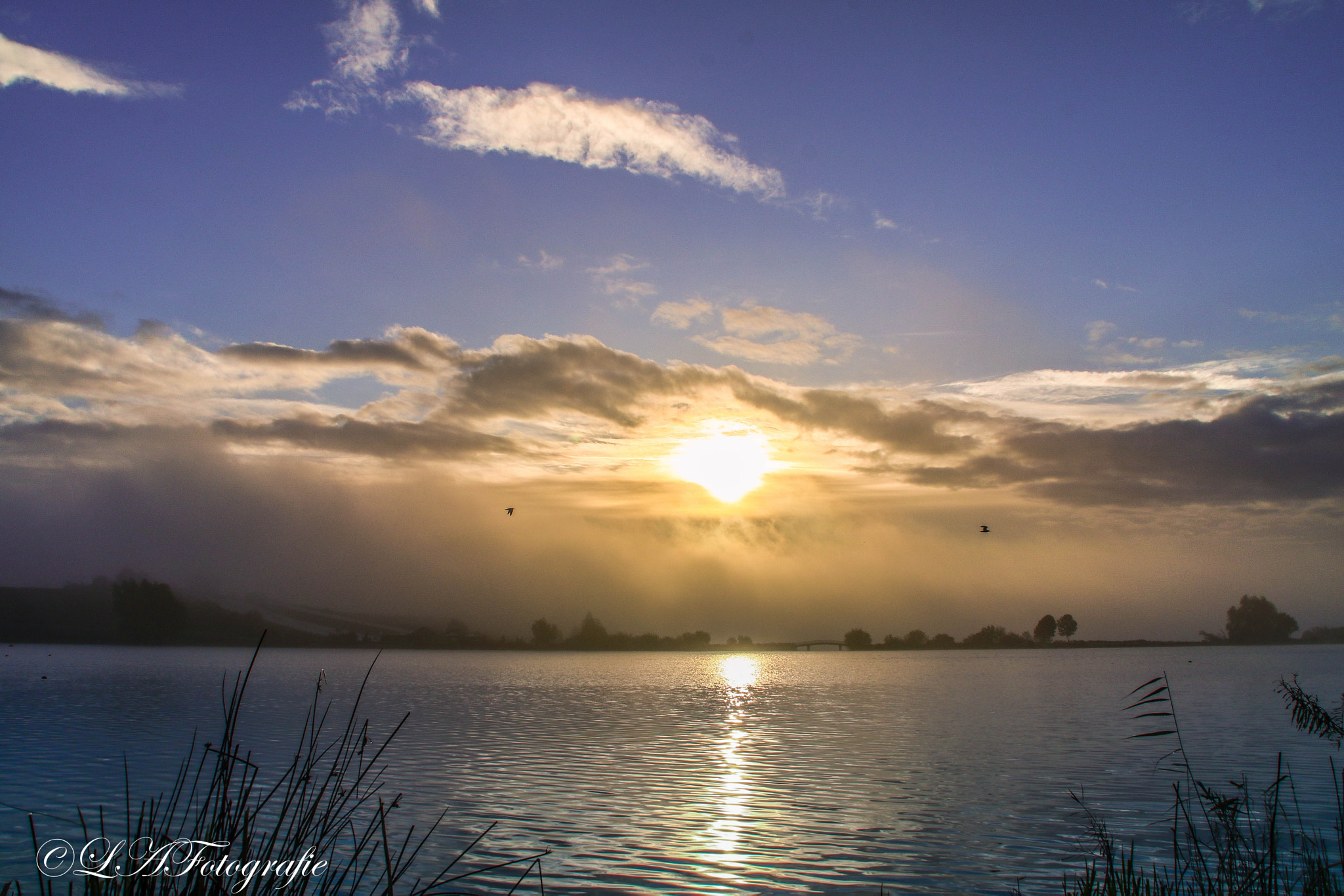 Canon EOS 760D (EOS Rebel T6s / EOS 8000D) sample photo. Rising sun photography