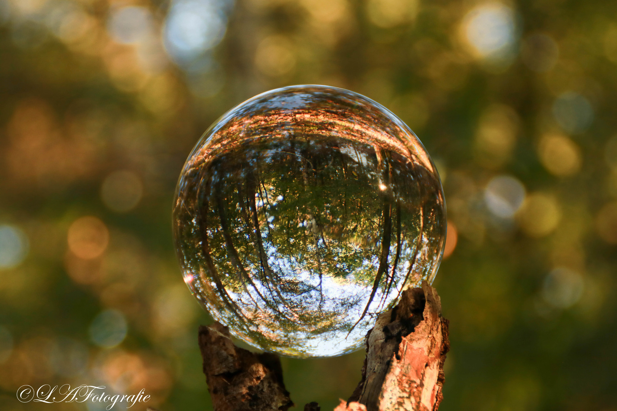 Canon EOS 760D (EOS Rebel T6s / EOS 8000D) sample photo. Turn the world up side down photography