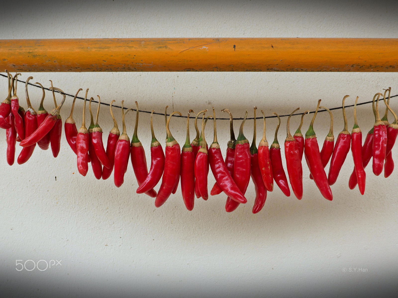Leica C (Typ 112) sample photo. A red necklace photography