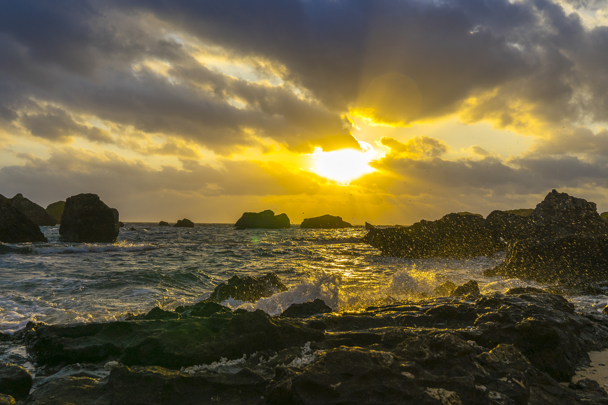 Sony a7 II + Sony FE 24-70mm F2.8 GM sample photo. Gentle morning photography