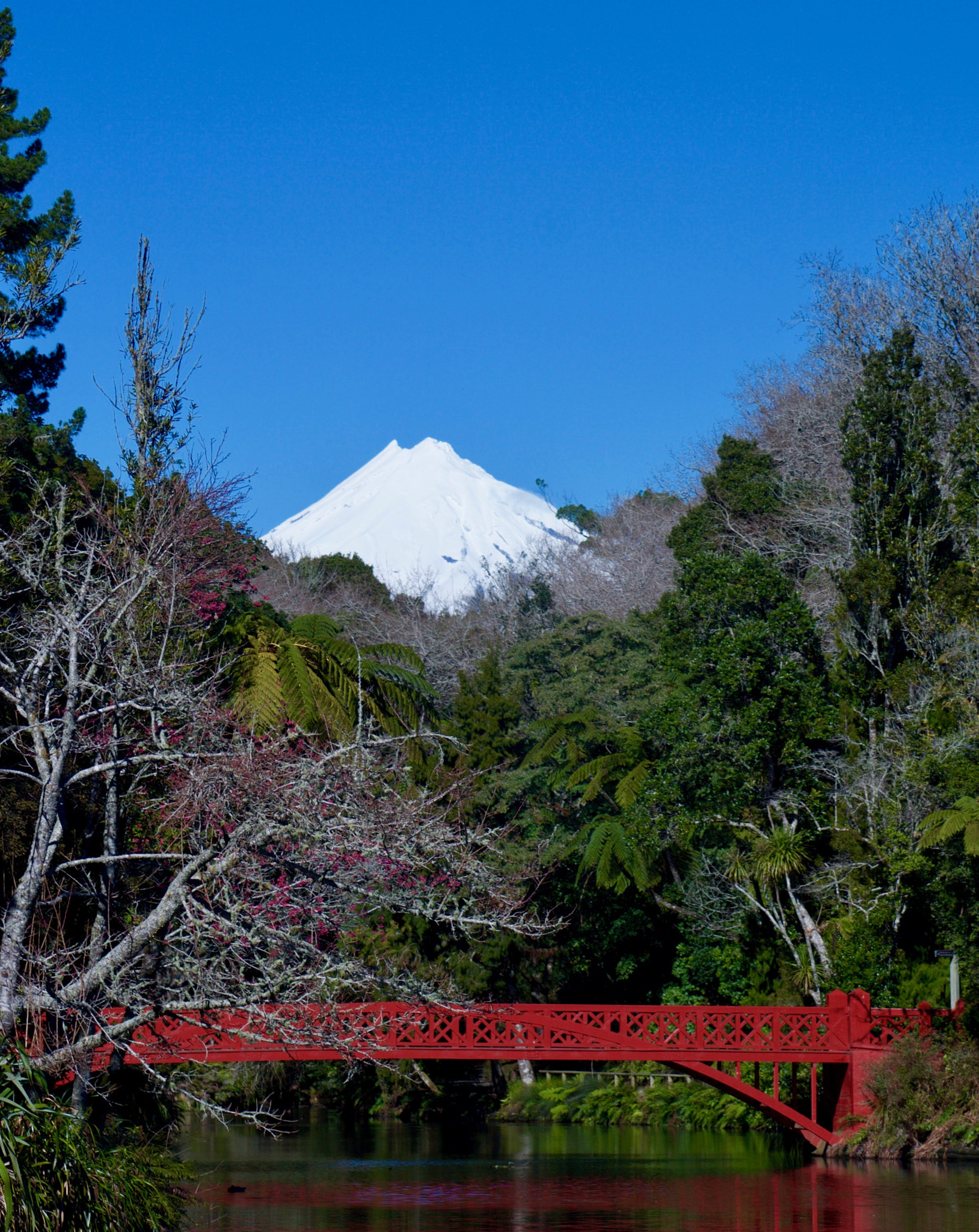 Canon EOS 400D (EOS Digital Rebel XTi / EOS Kiss Digital X) sample photo. Mount taranaki, new zealand. photography