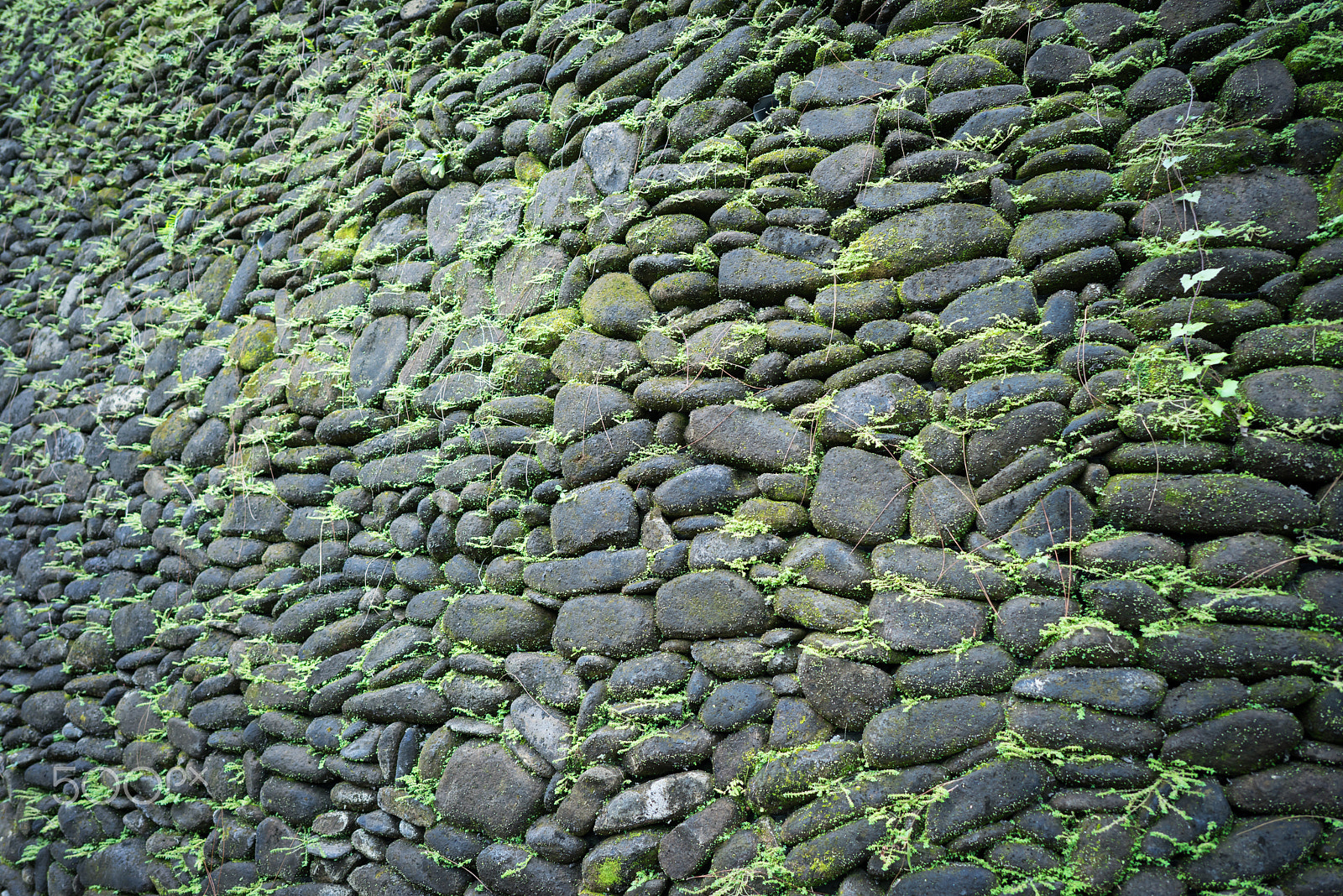 Sony a7R + ZEISS Batis 25mm F2 sample photo. The wall made from stone photography