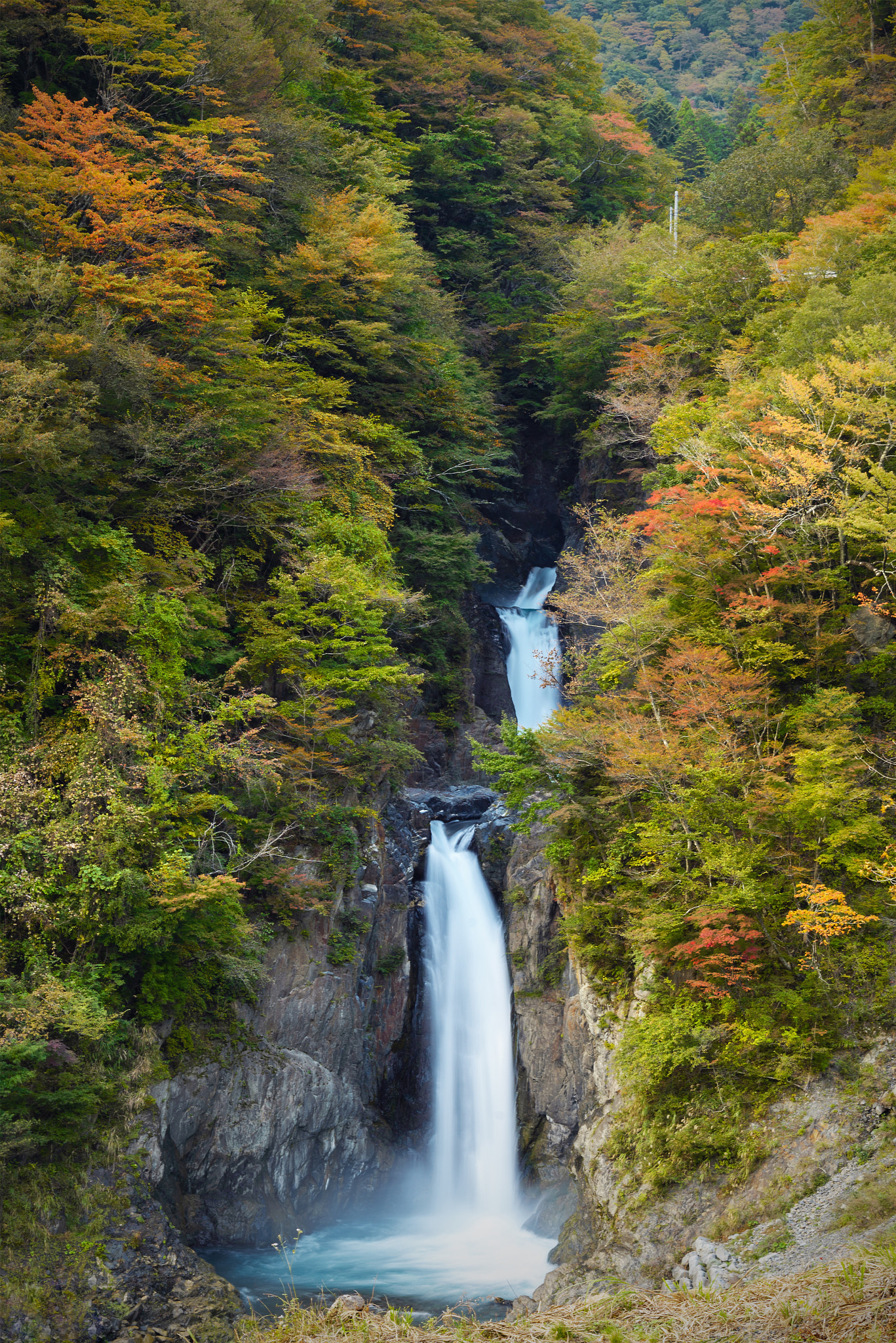 ZEISS Makro-Planar T* 50mm F2 sample photo. 赤水の滝 photography