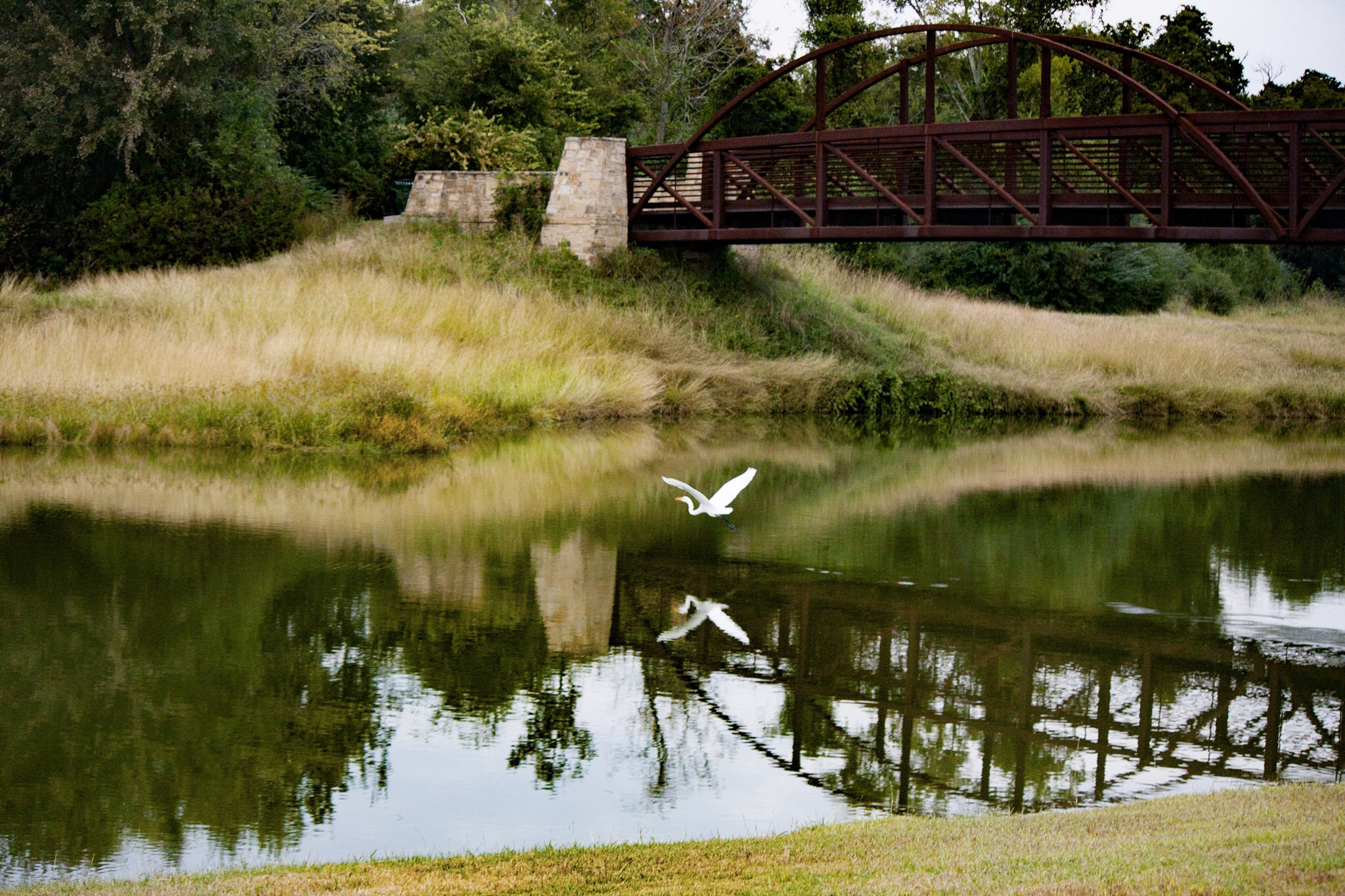 Canon EF-S 55-250mm F4-5.6 IS sample photo. Bridgeland photography
