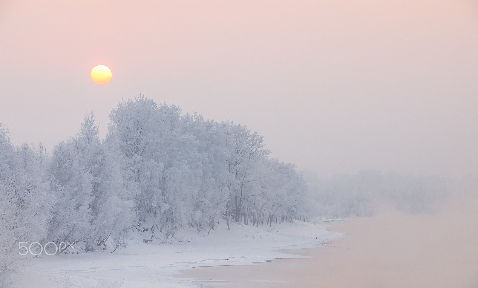 Olympus E-5 sample photo. ...winter sun... photography