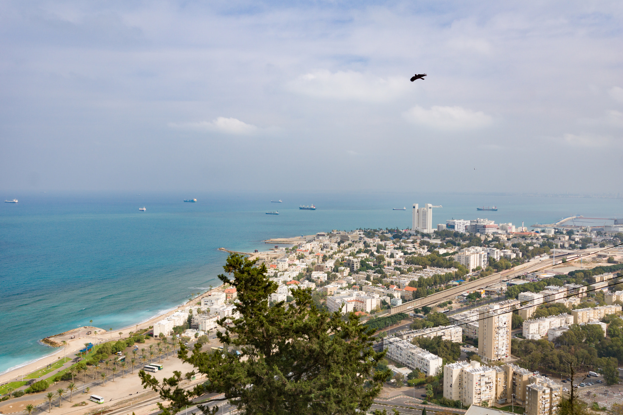 Sony a6000 sample photo. Haifa photography