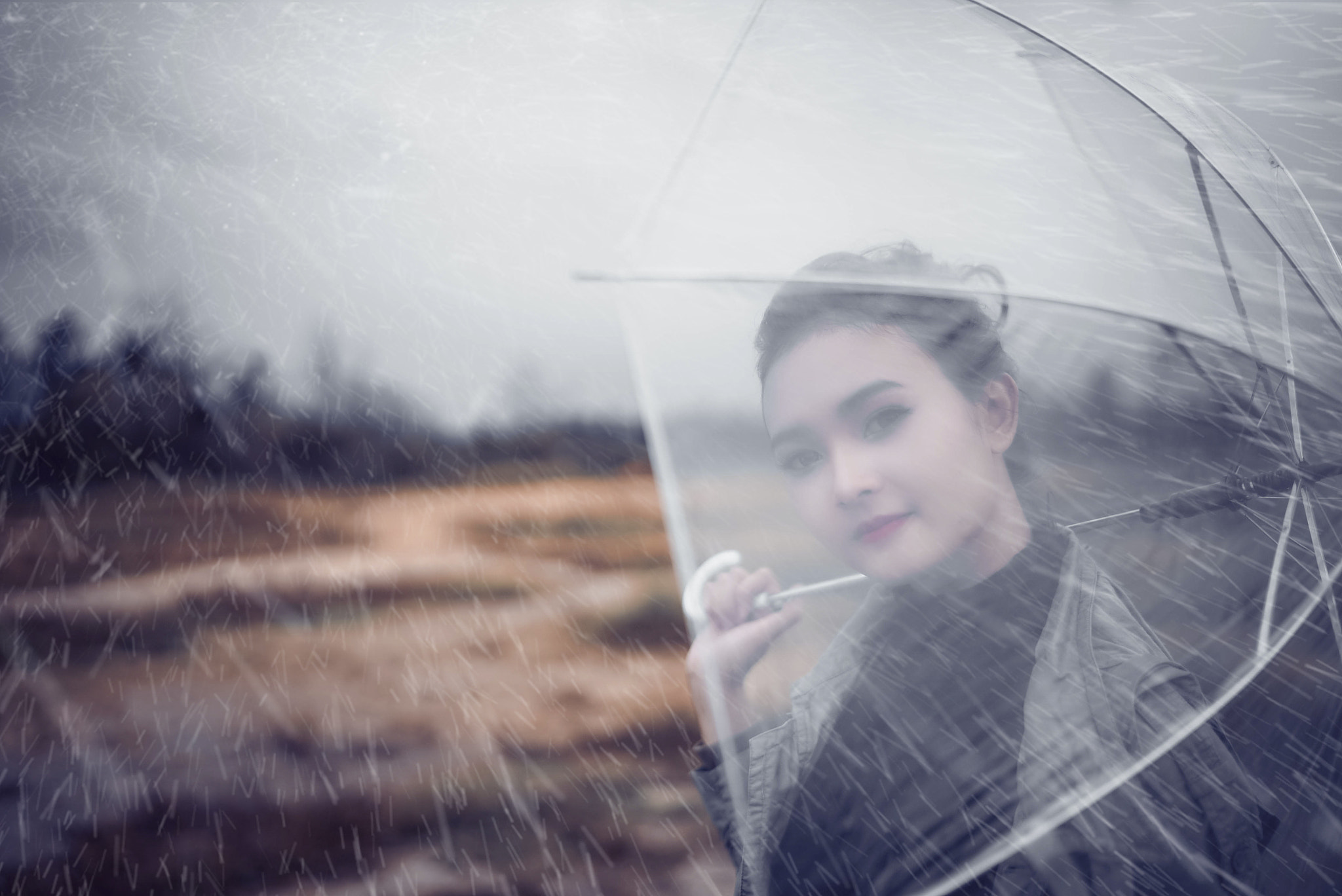 Sony a7S + Sony Distagon T* FE 35mm F1.4 ZA sample photo. 18.jpg photography