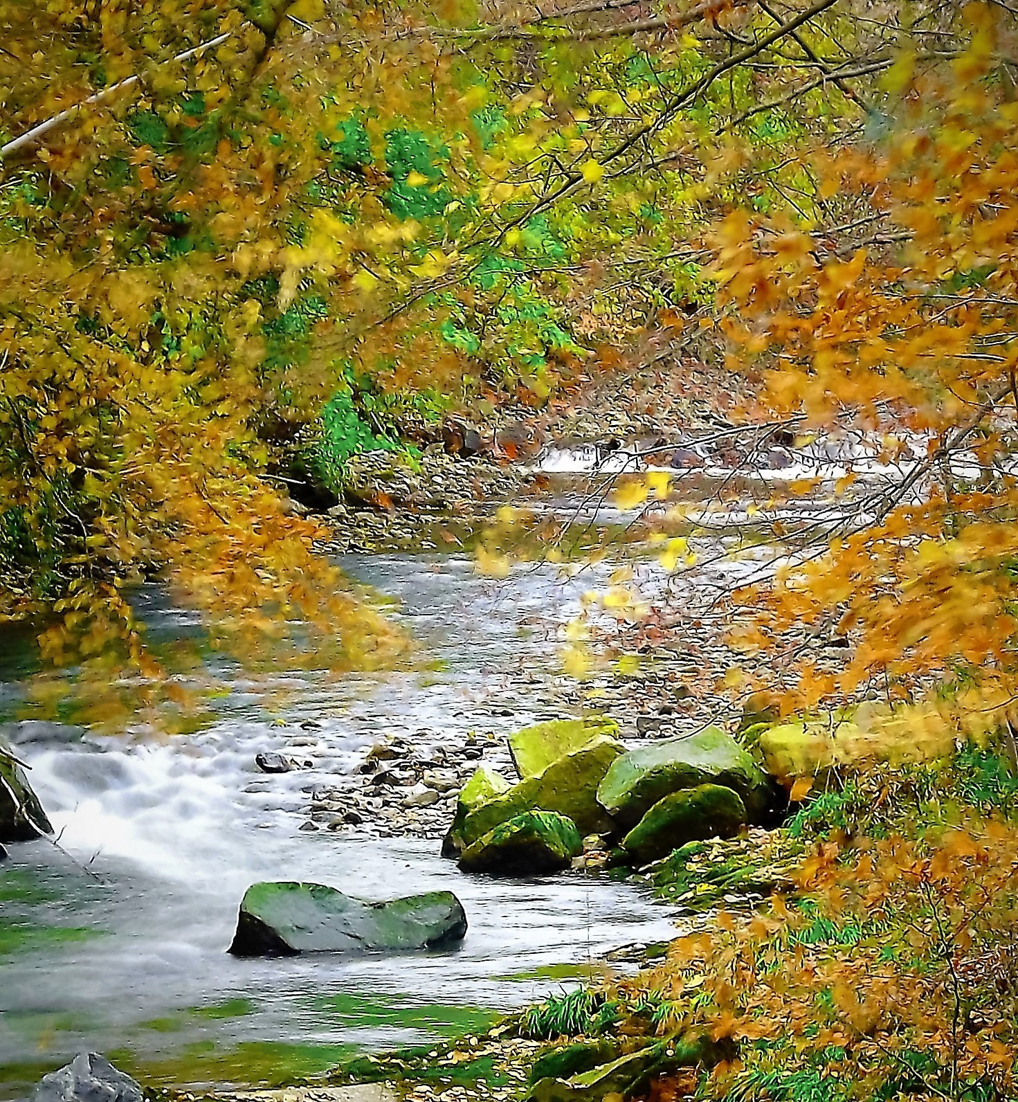 Fujifilm FinePix S4080 sample photo. River glass,tromode isle of man photography