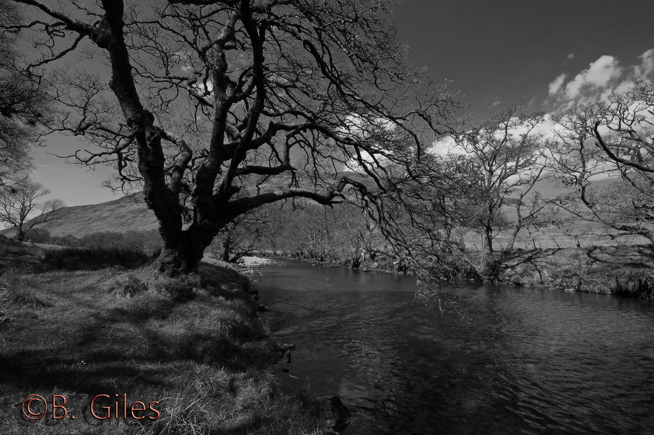Sigma AF 10-20mm F4-5.6 EX DC sample photo. A river flows through cairngorms , scotland photography