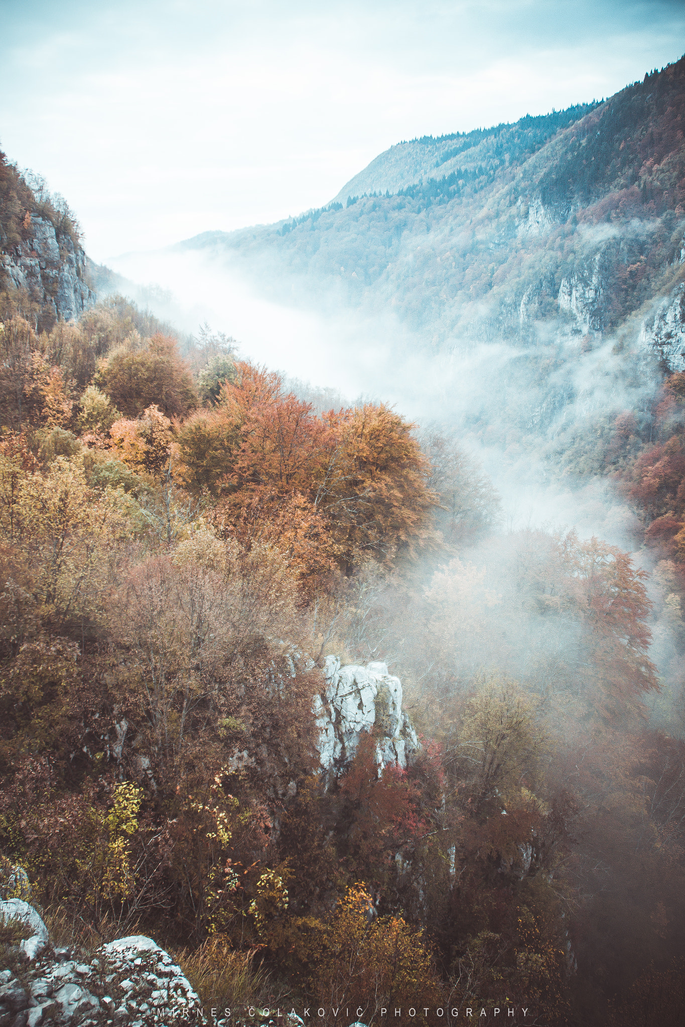 Canon EOS 50D sample photo. Autumn in nature photography