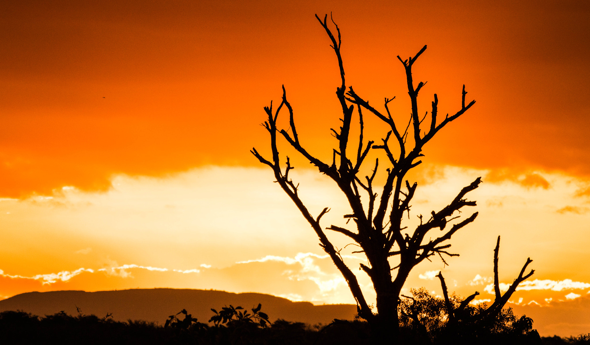 Sigma 150-500mm F5-6.3 DG OS HSM sample photo. Lowveld sunset photography