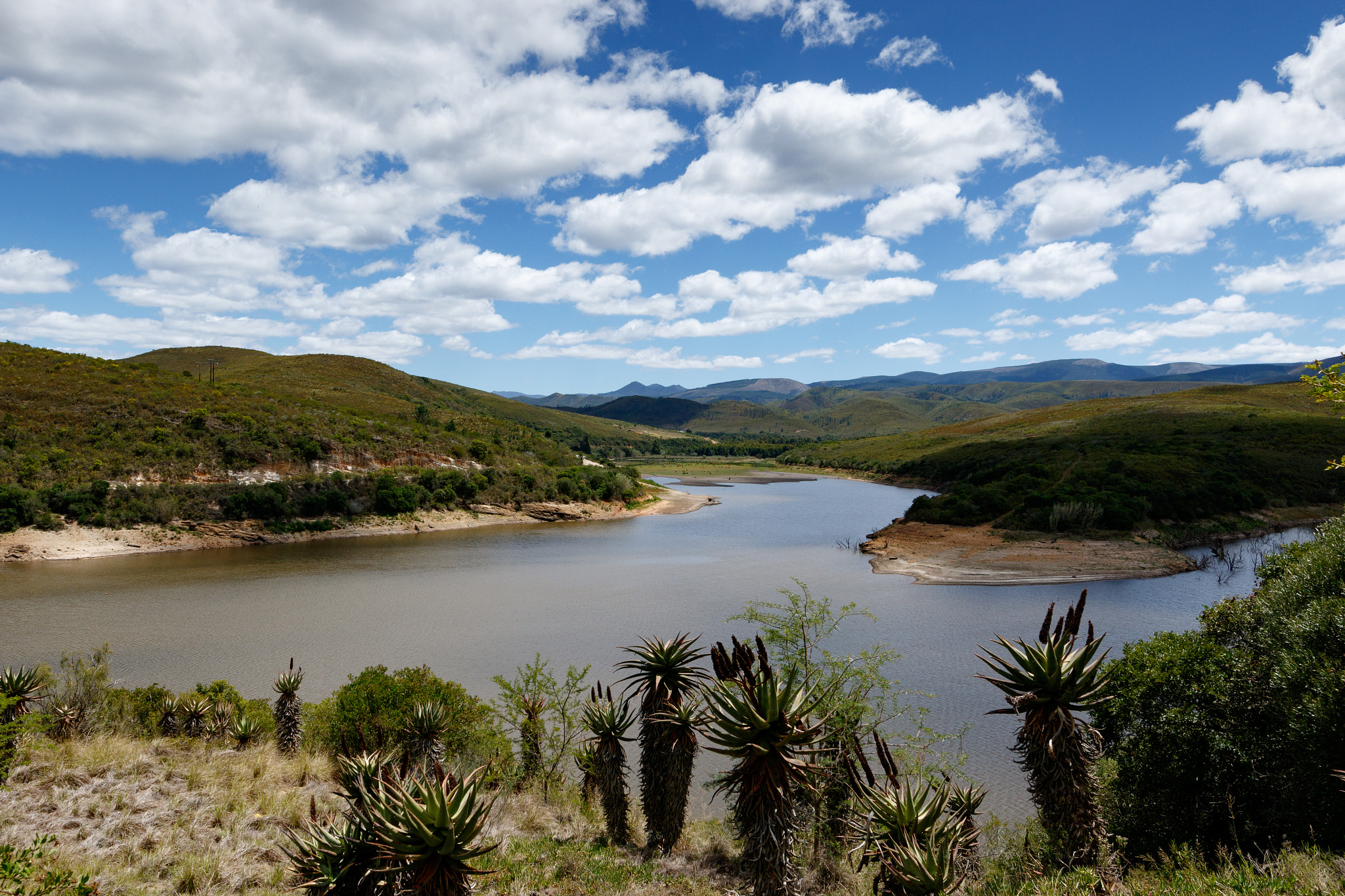 Canon EOS 7D Mark II sample photo. Loerie dam nature reserve with clouds and skies photography