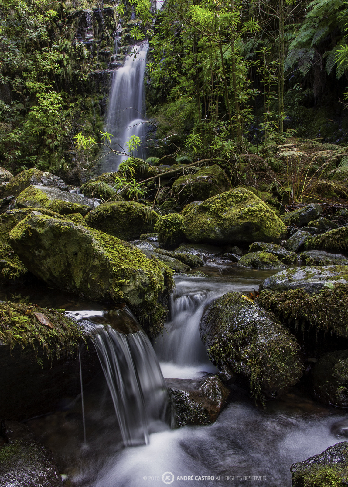 Nikon D50 sample photo. Waterfall photography