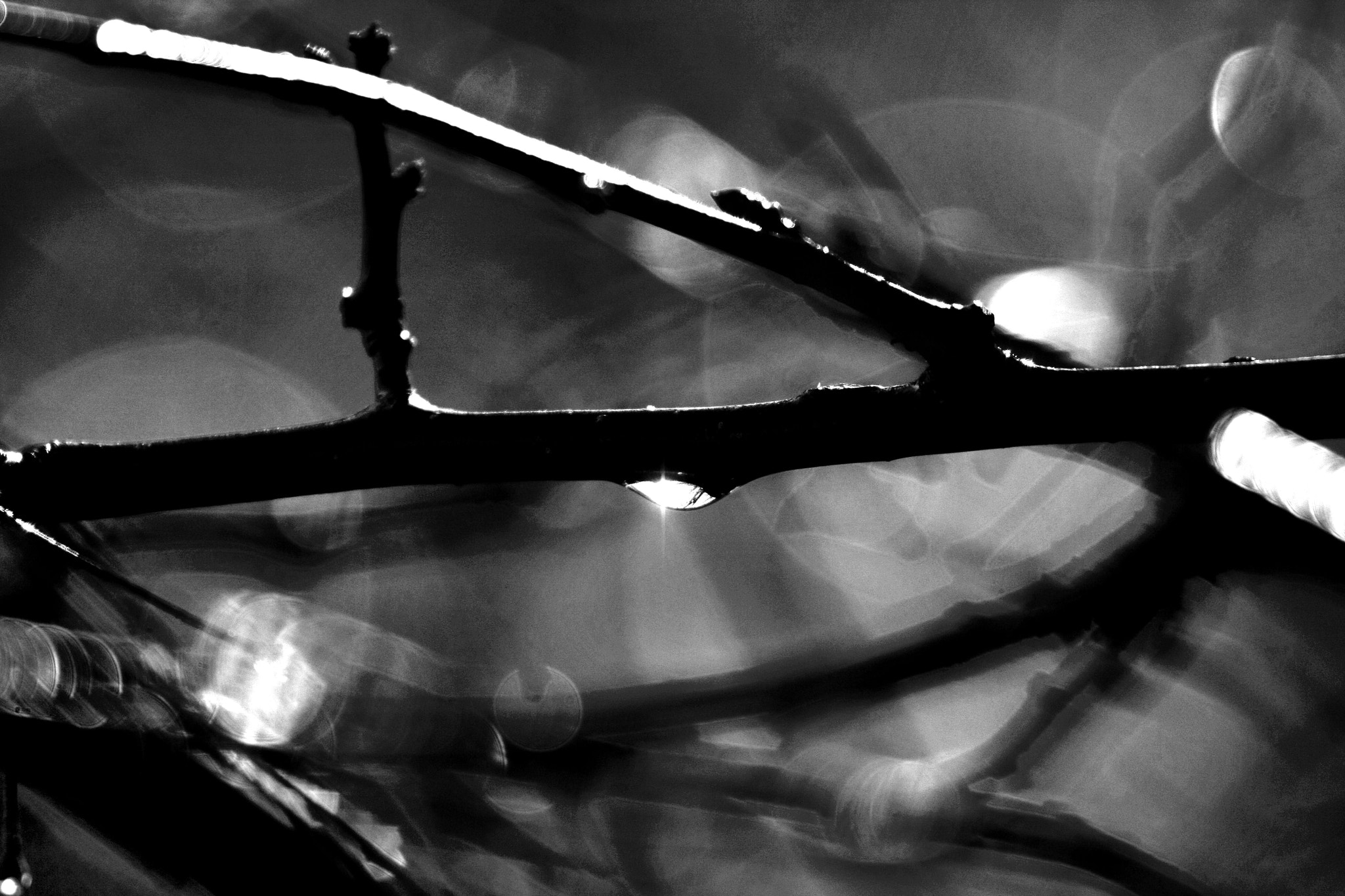 Canon EOS 40D + Canon EF 50mm f/1.8 sample photo. Sunray photography