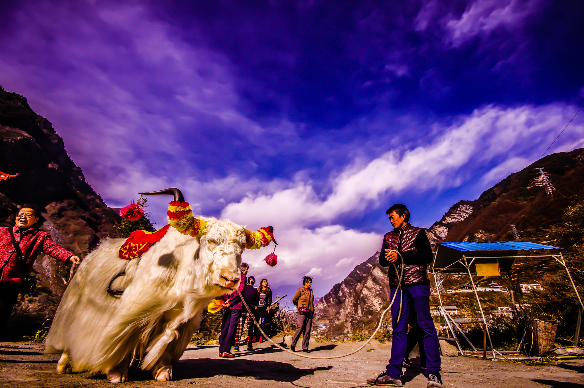 Sigma AF 10-20mm F4-5.6 EX DC sample photo. When buffalo doing business photography