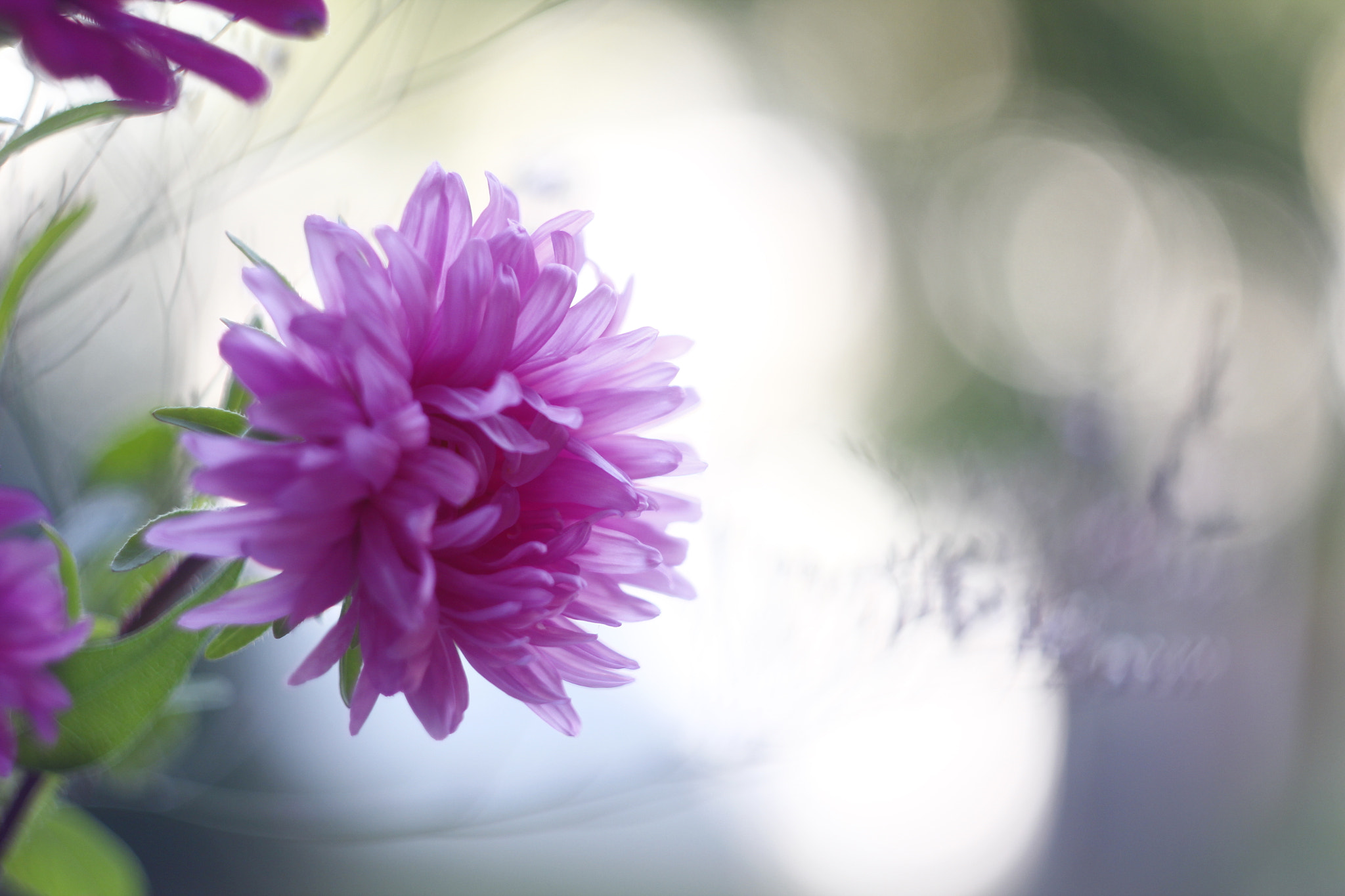 Canon EF 35-80mm f/4-5.6 sample photo. Light shines on me photography