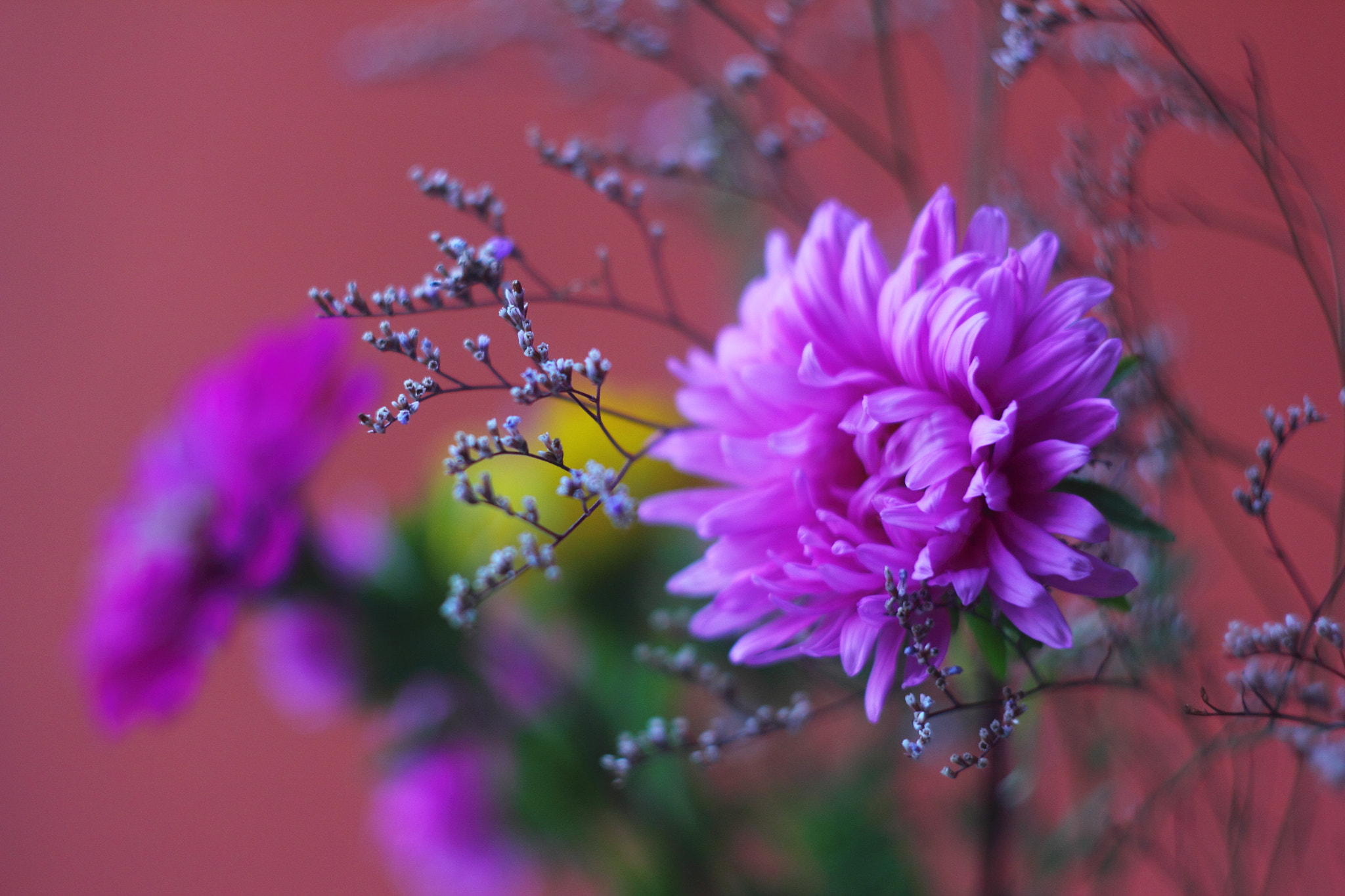 Canon EOS 60D sample photo. Pinky flower photography