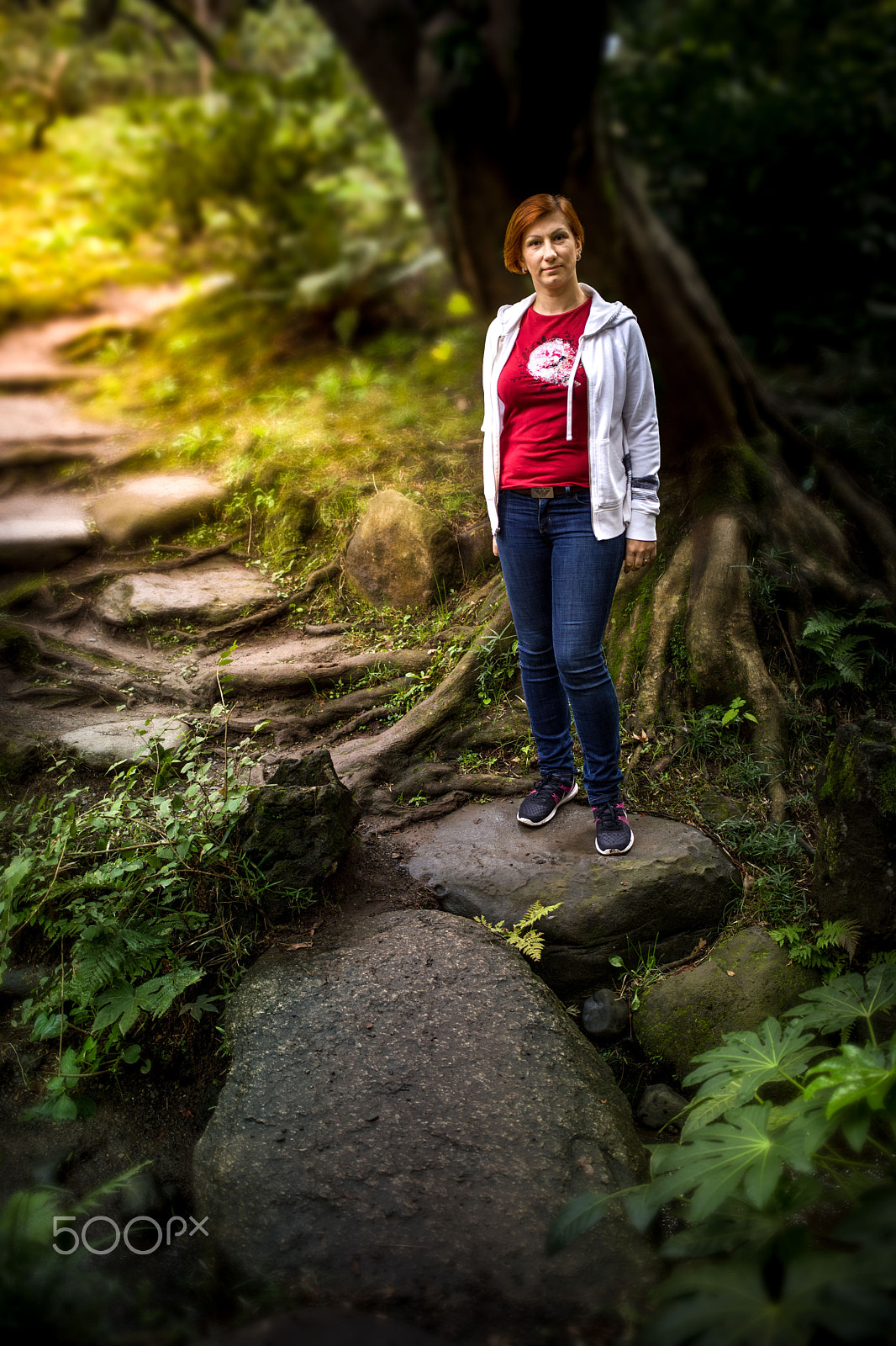 Canon EF 40mm F2.8 STM sample photo. Into the forest photography