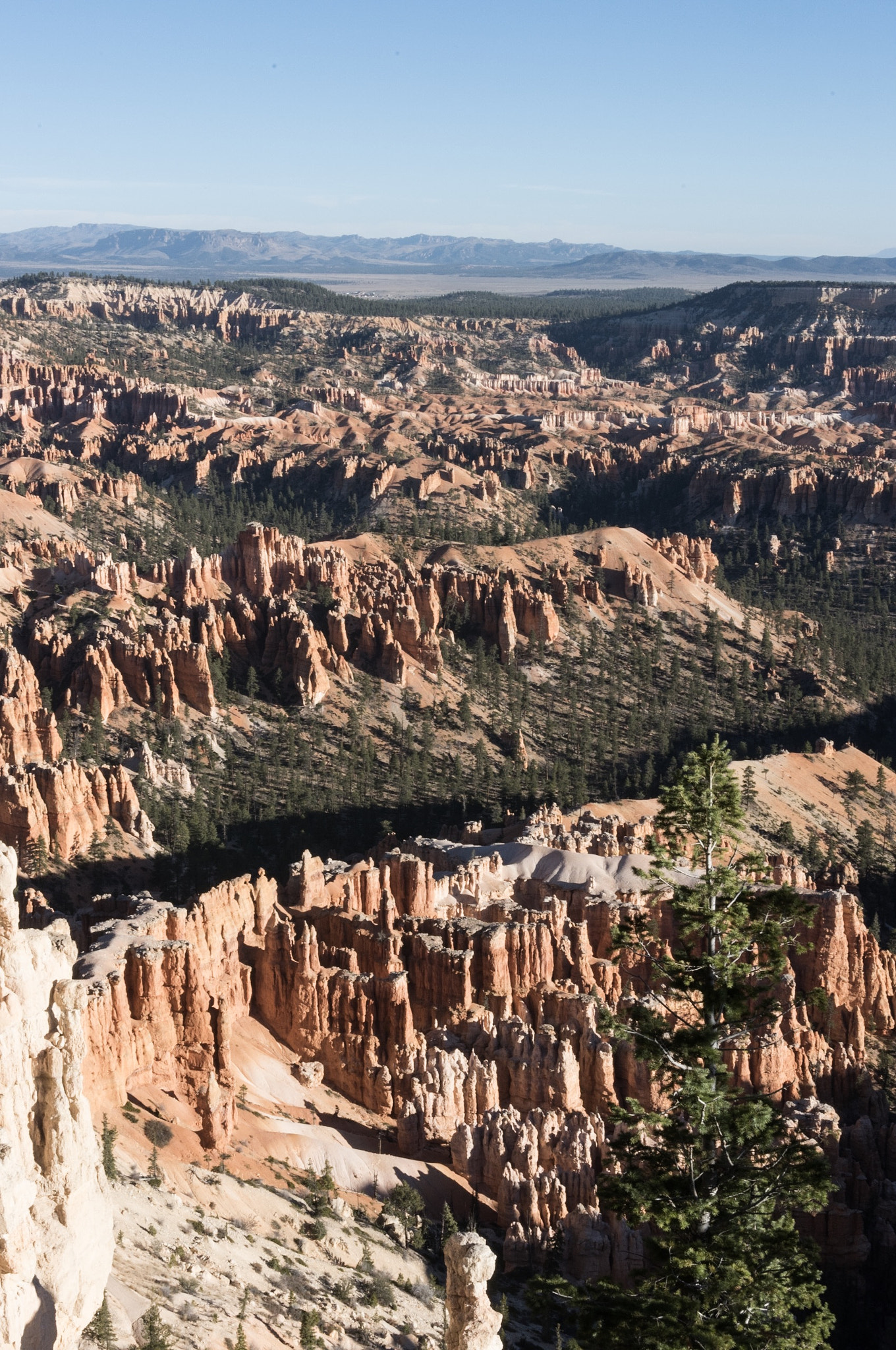 Tamron AF 28-300mm F3.5-6.3 XR Di LD Aspherical (IF) Macro sample photo. Bryce canyon national park #4 photography