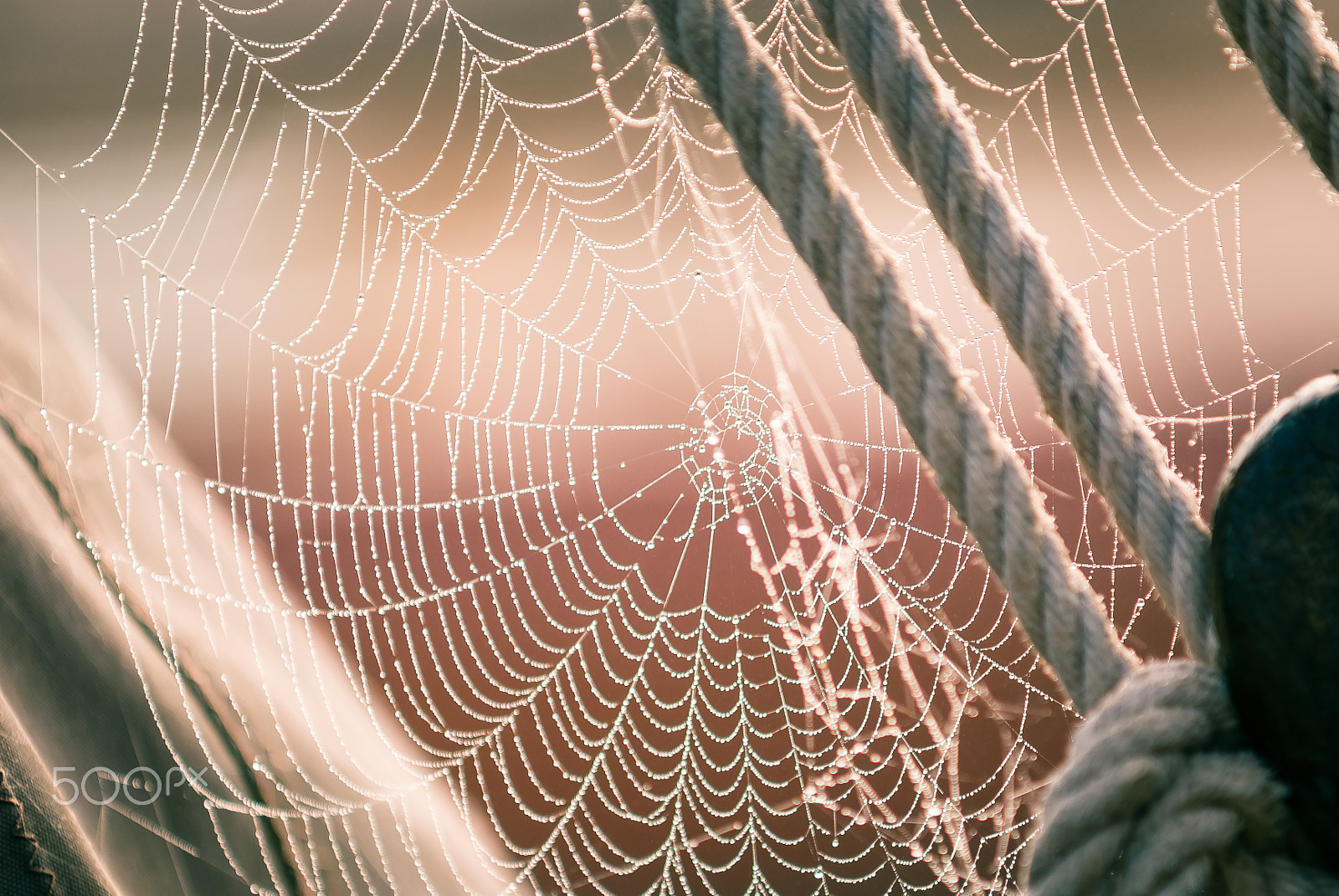 Sony Alpha DSLR-A200 sample photo. Morning dew on spiderweb sailboat detail photography