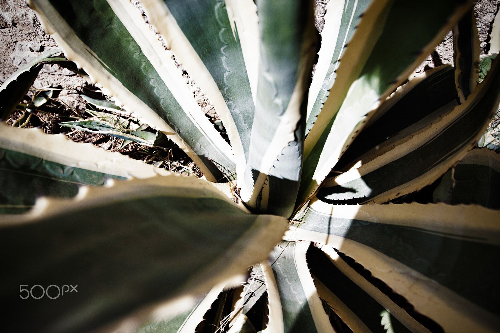 Canon EF 16-35mm F2.8L II USM sample photo. Ibiza photography