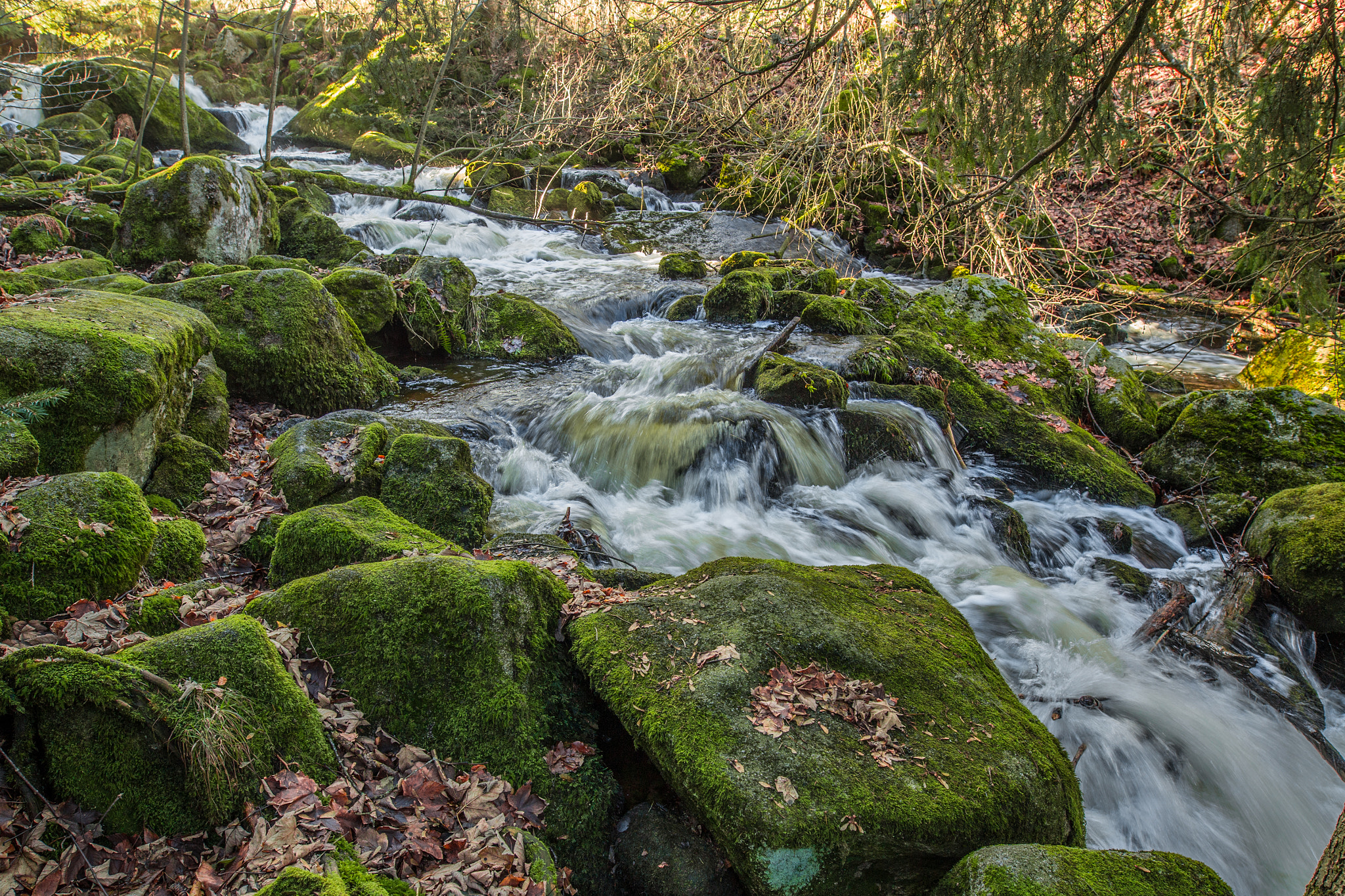 Canon EOS 6D + Sigma 20mm F1.4 DG HSM Art sample photo. Img photography