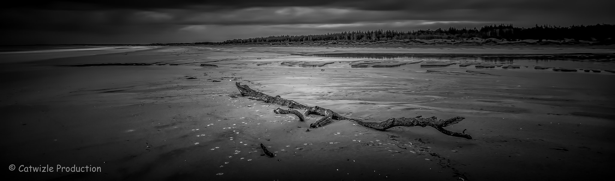 Canon EF 17-40mm F4L USM sample photo. Footprints photography