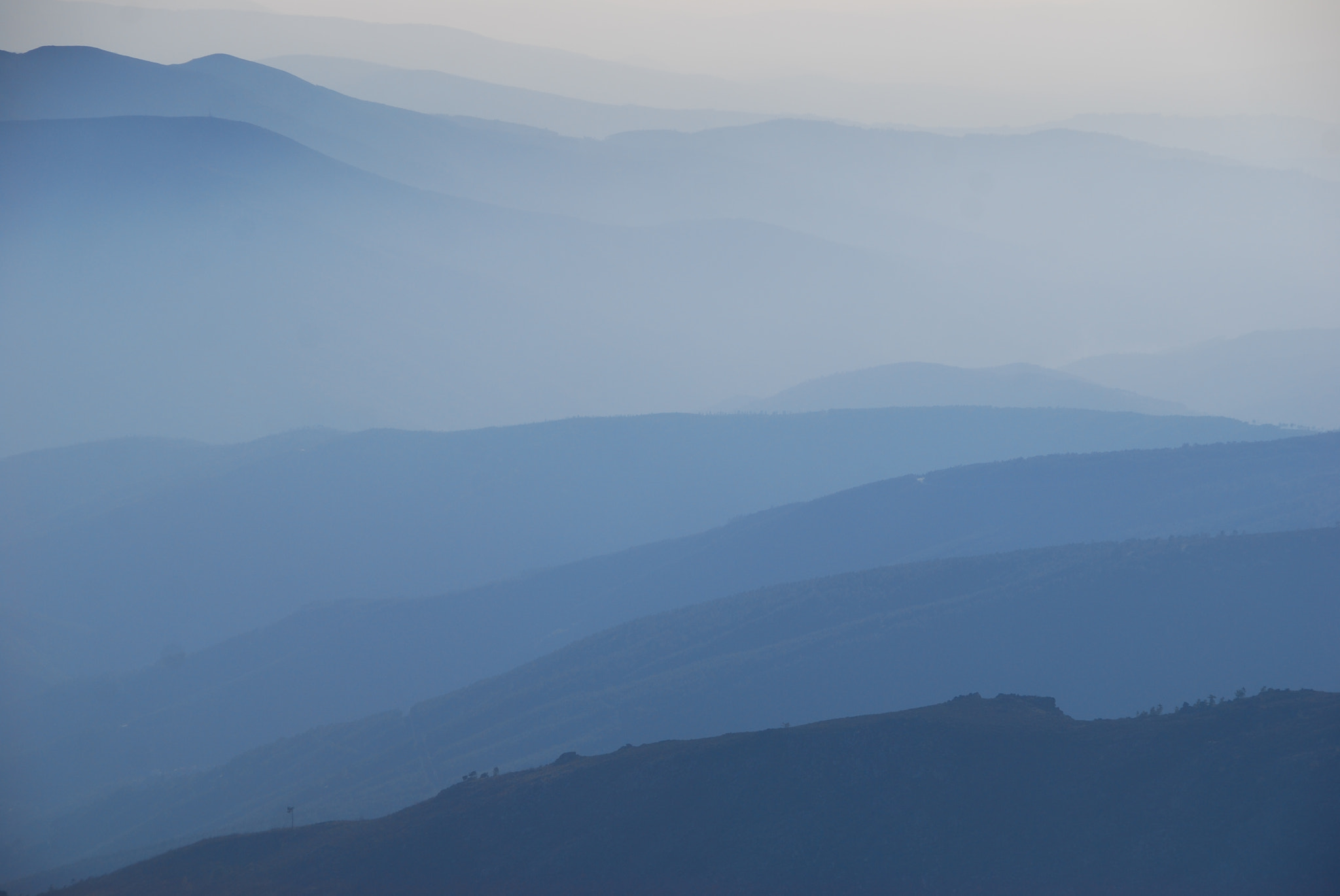 Nikon D40X sample photo. Blue haze photography