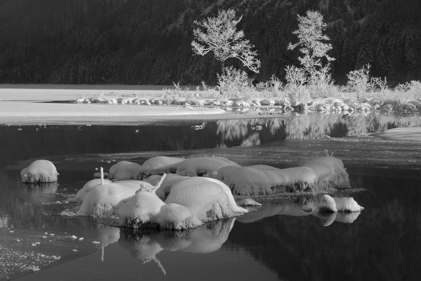 Nikon D300 sample photo. Covered with frost photography