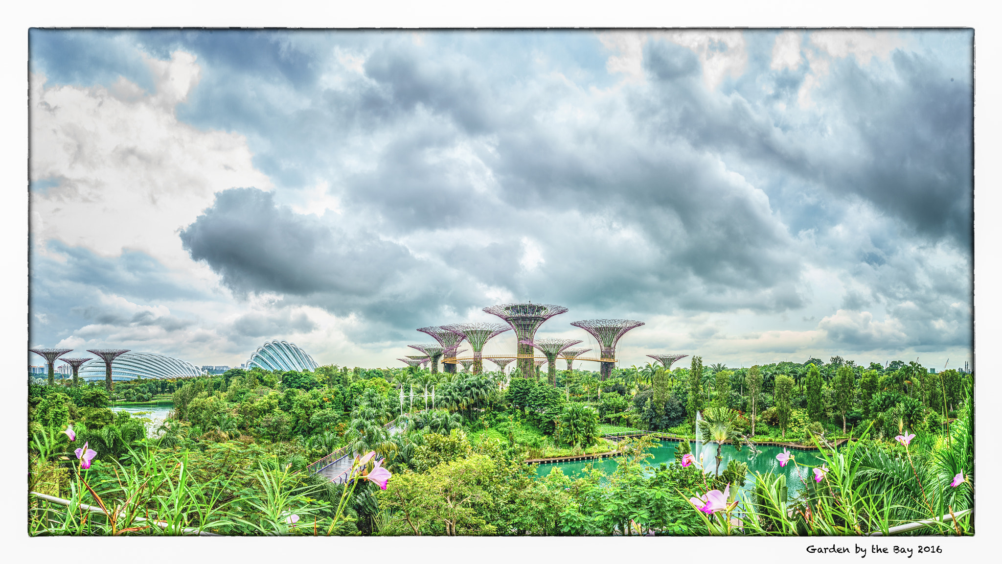 Sony a7R II sample photo. Garden by the bay 2016 photography