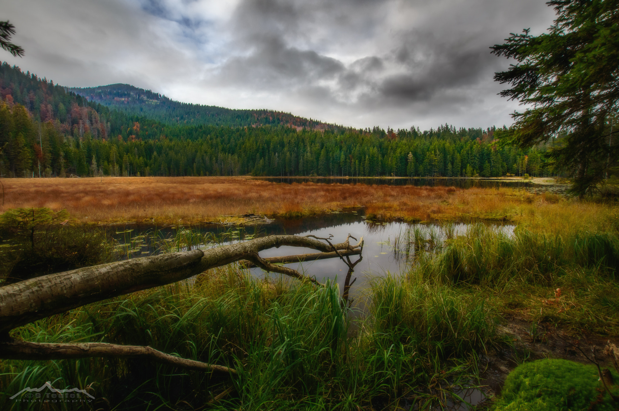 Sigma 10-20mm F3.5 EX DC HSM sample photo. "arbersee mood" photography