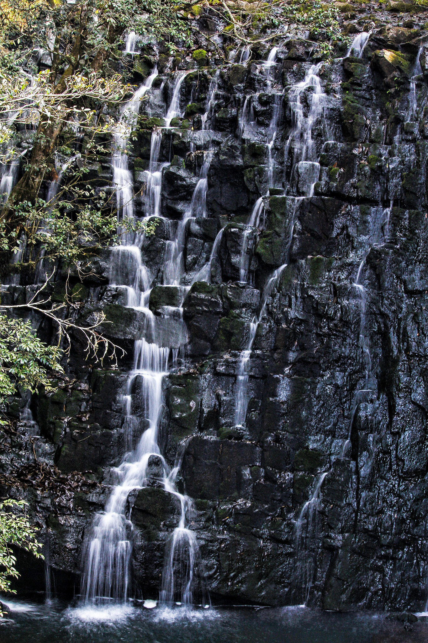 Canon EF-S 55-250mm F4-5.6 IS STM sample photo. Silver lines photography