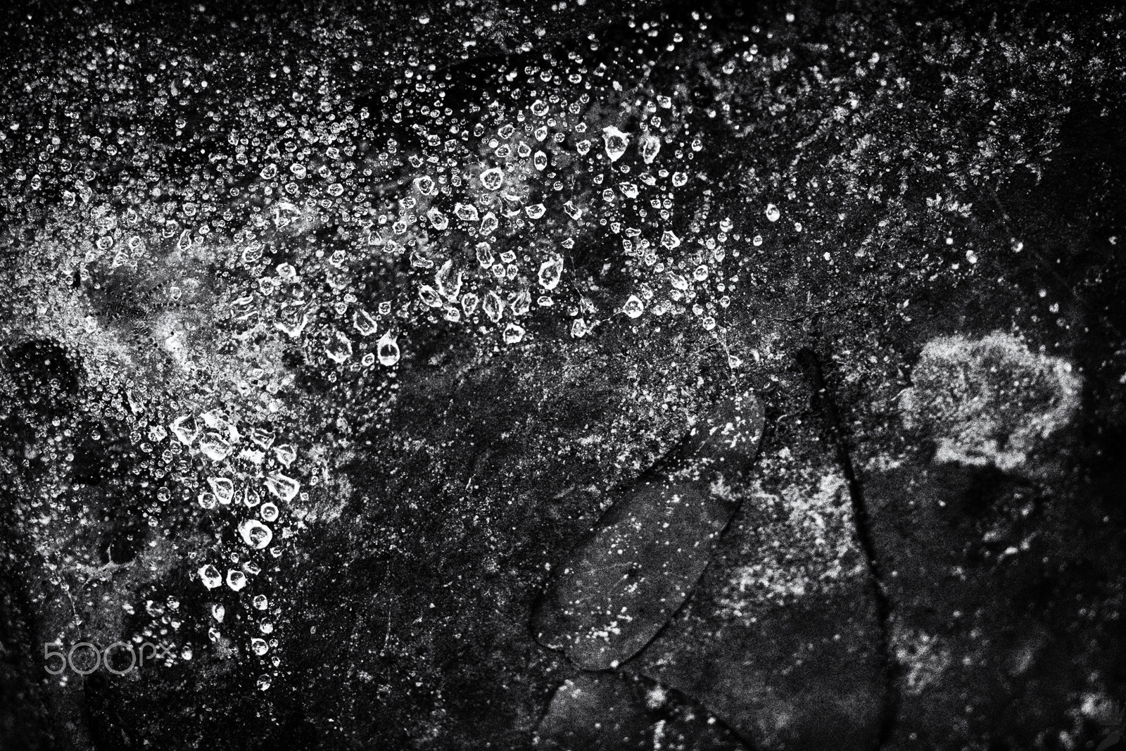 Sigma 105mm F2.8 EX DG OS HSM sample photo. Water - abstract photography